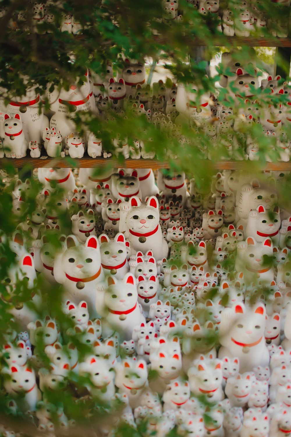 Gōtokuji Temple, cat temple Tokyo.