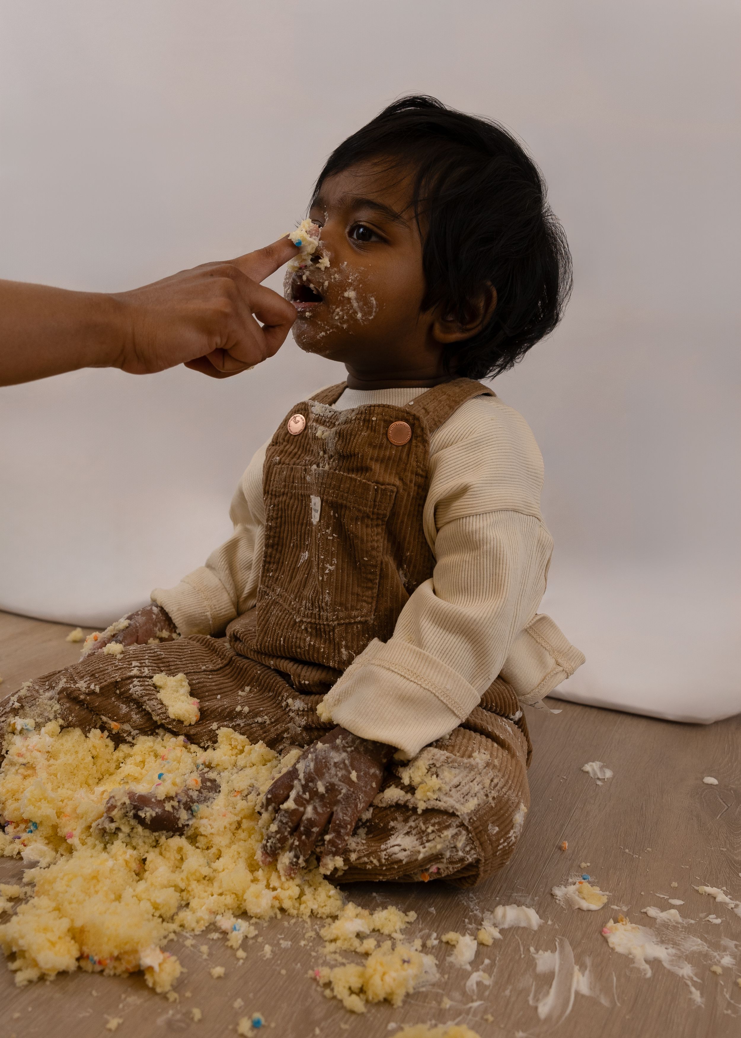 Toronto cake smash photographer. Cake smash photography Halton Hills.