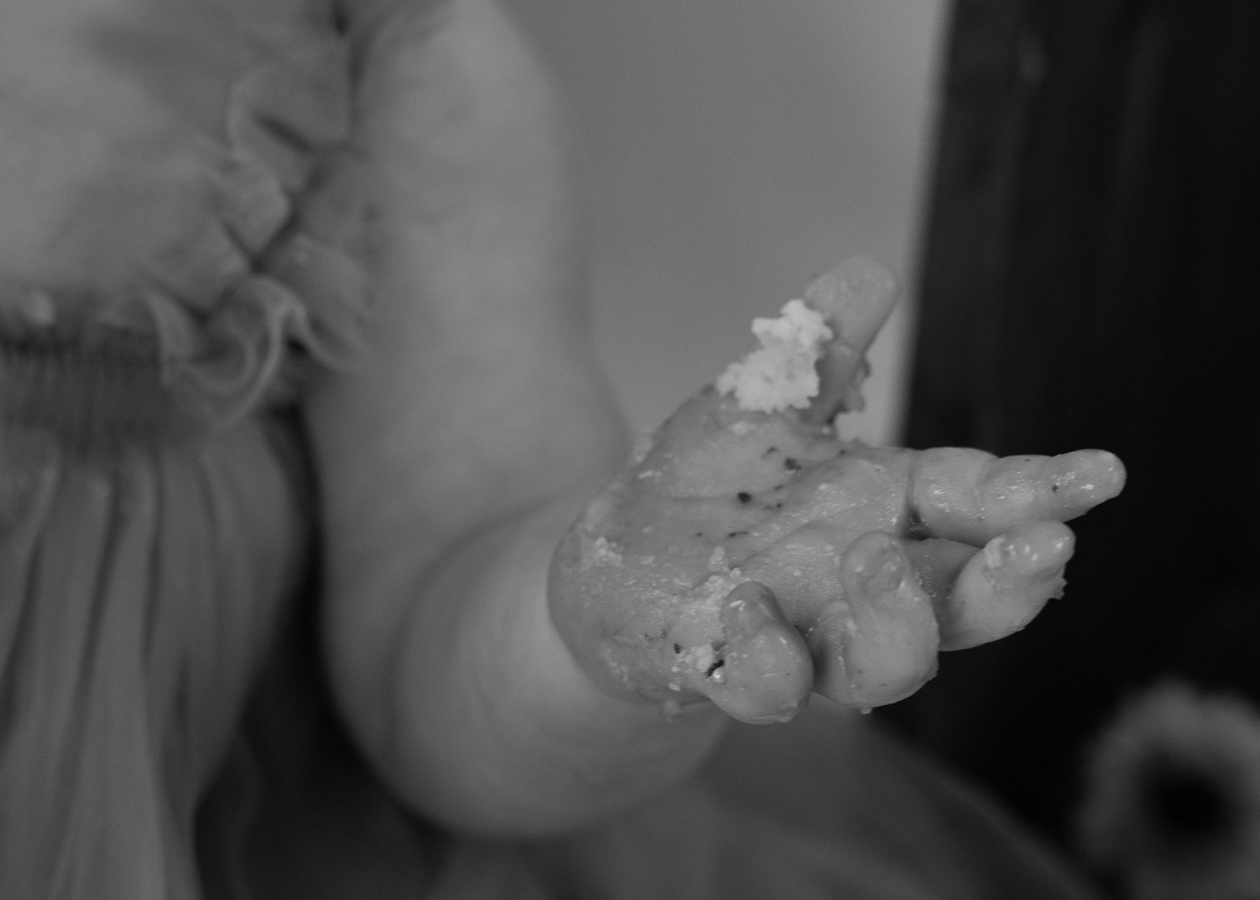 Toronto cake smash photographer. Cake smash photography Halton Hills. Grey county cake smash photography.