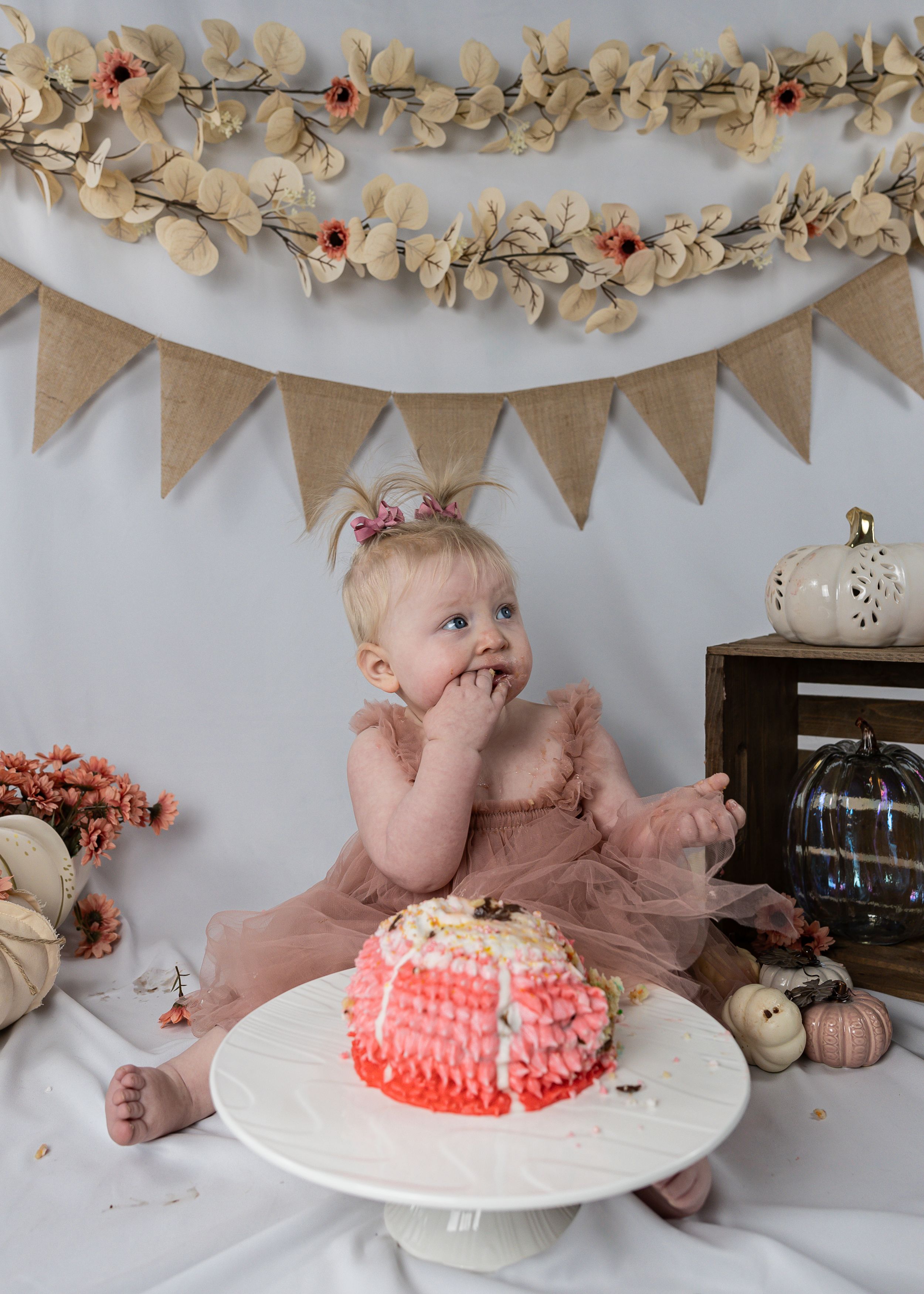 Toronto cake smash photographer. Cake smash photography Halton Hills. Grey county cake smash photography.