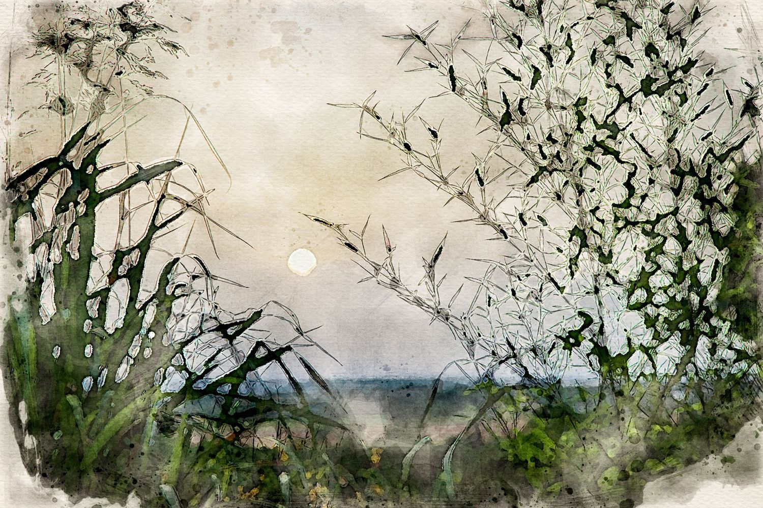 Photograph transformed to Watercolor of a misty lake view with setting sun peeking through branches in Tuscany.