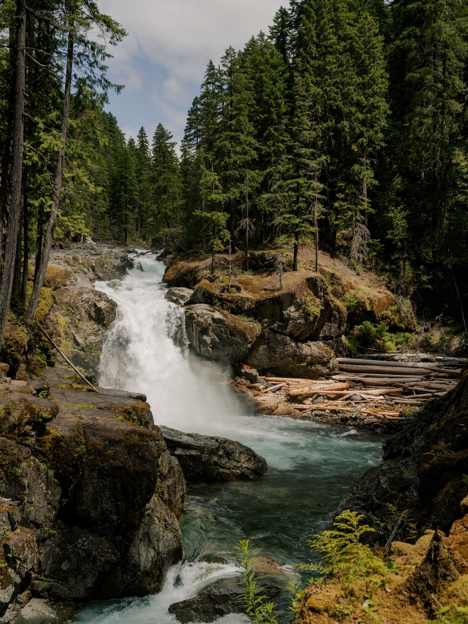 A cascading waterfall flows through rocky cliffs in a dense evergreen forest, creating a scenic natural landscape.