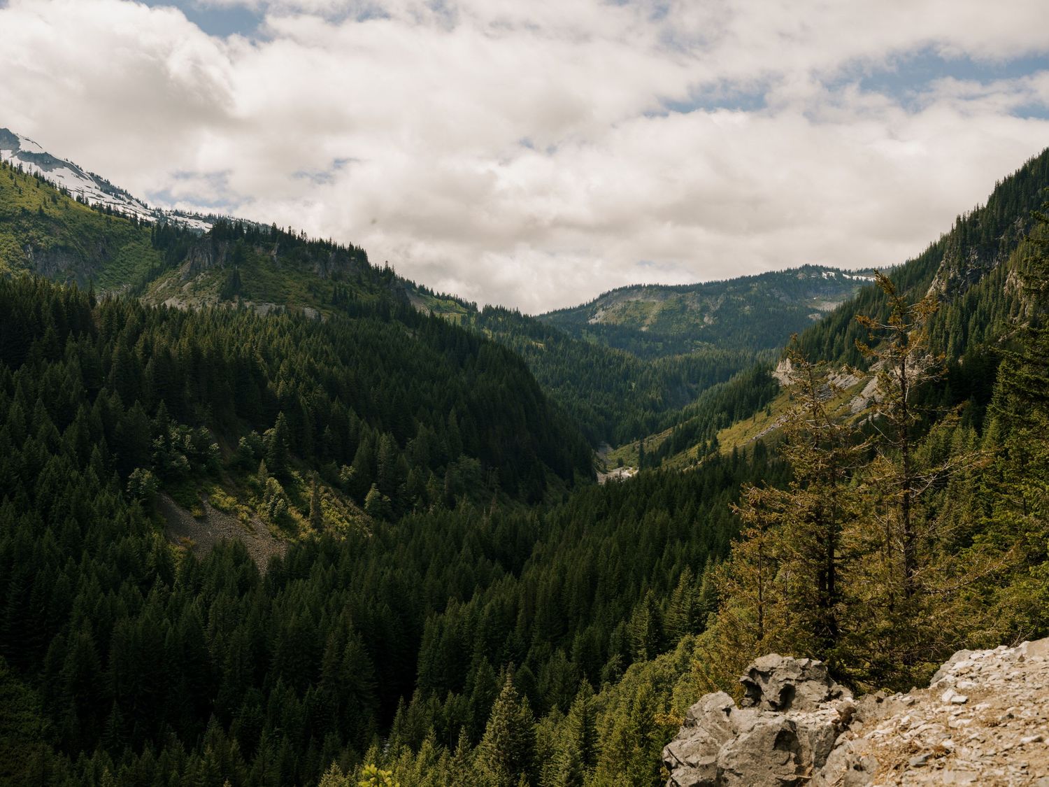 Scenic mountain valley view with dense evergreen forest and dramatic cloudy sky in the wilderness.