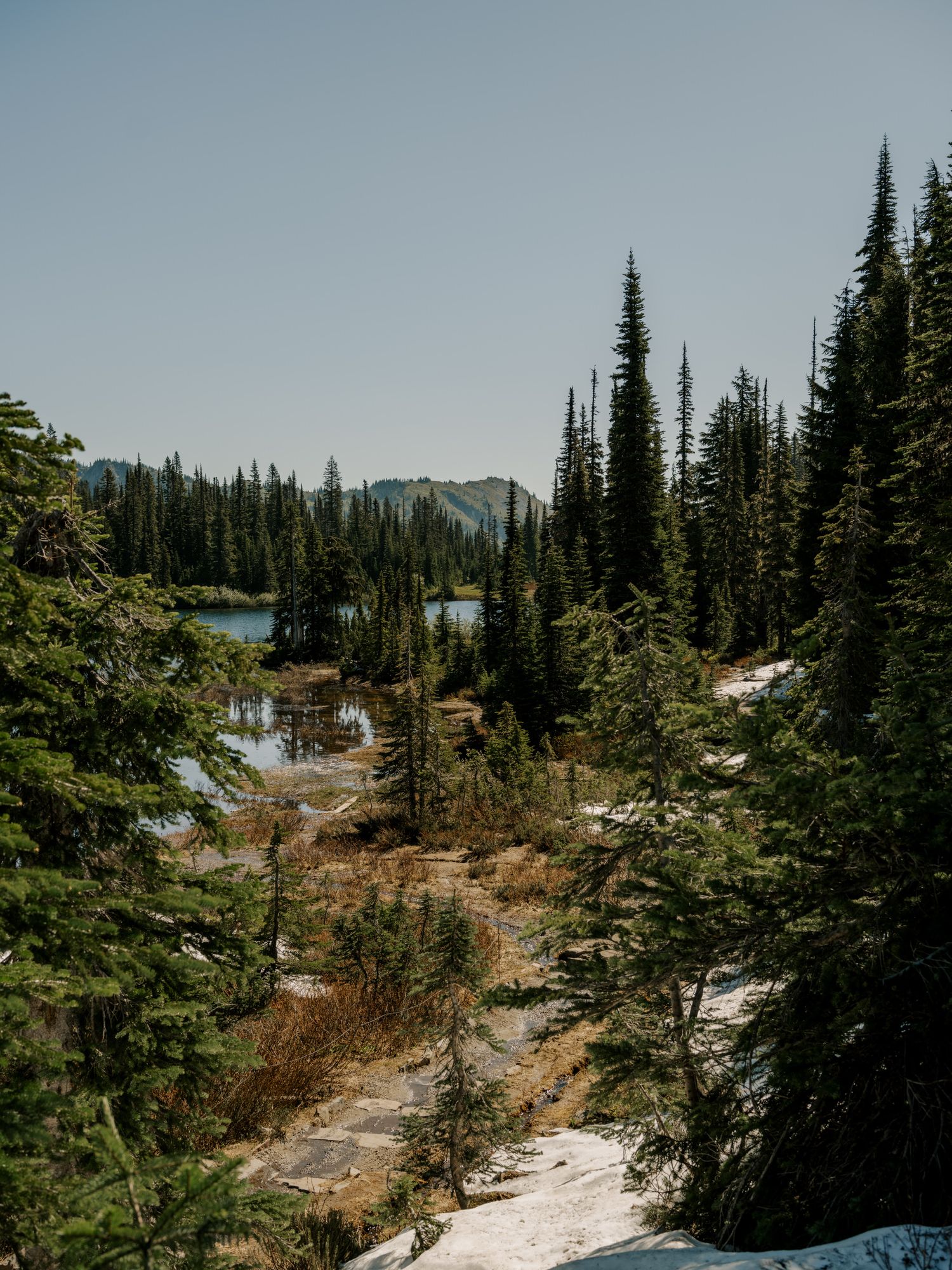 Snow-dusted mountain trail winding through tall evergreen trees with alpine peaks in the distance.