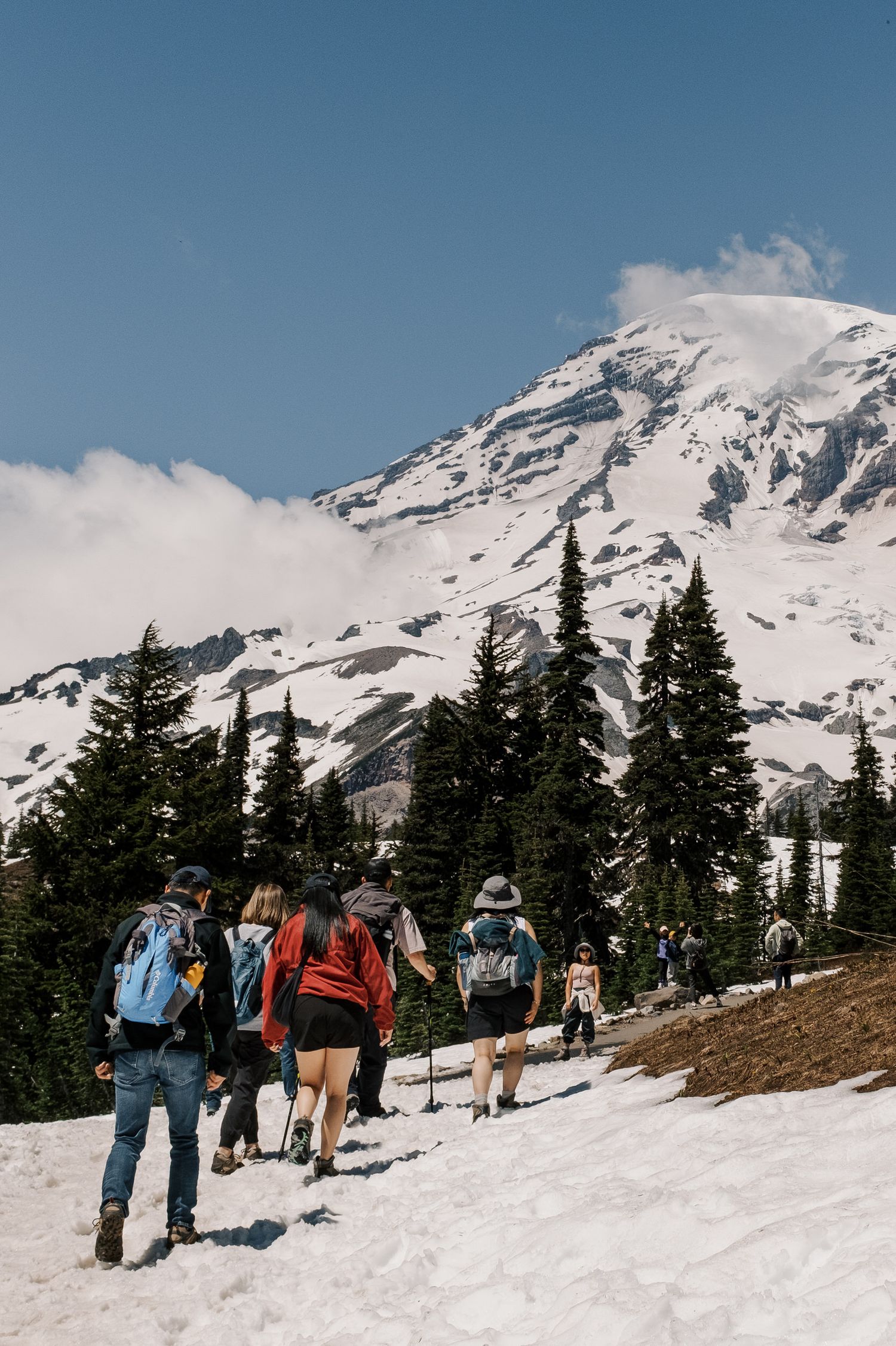 Group of hikers traversing snowy trail on Mount Rainier with evergreen trees and snow-capped peak in background.