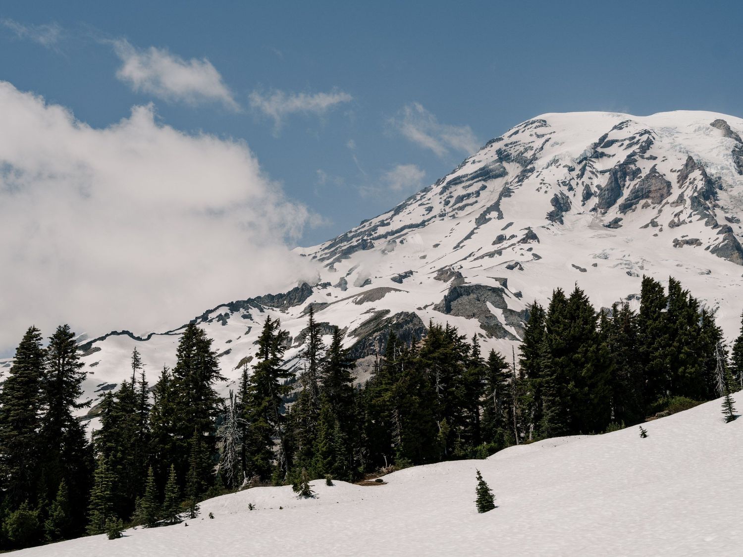 Snow-covered Mount Rainier rises majestically above evergreen trees beneath a blue sky with wispy clouds.