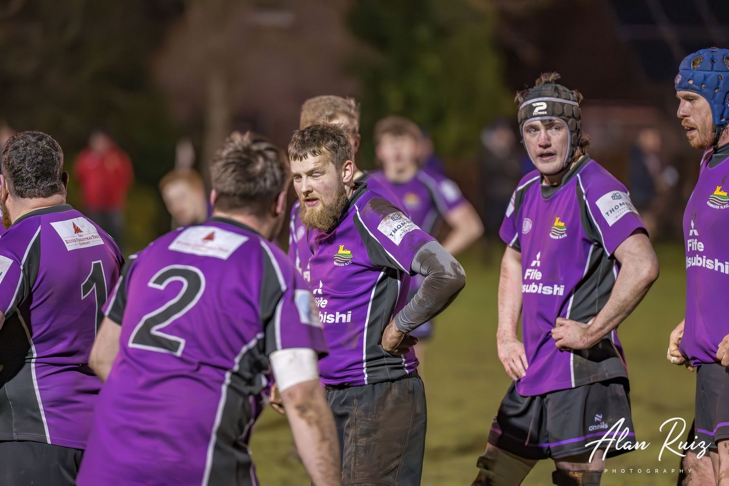 Rugby players in purple jerseys line up during a match.