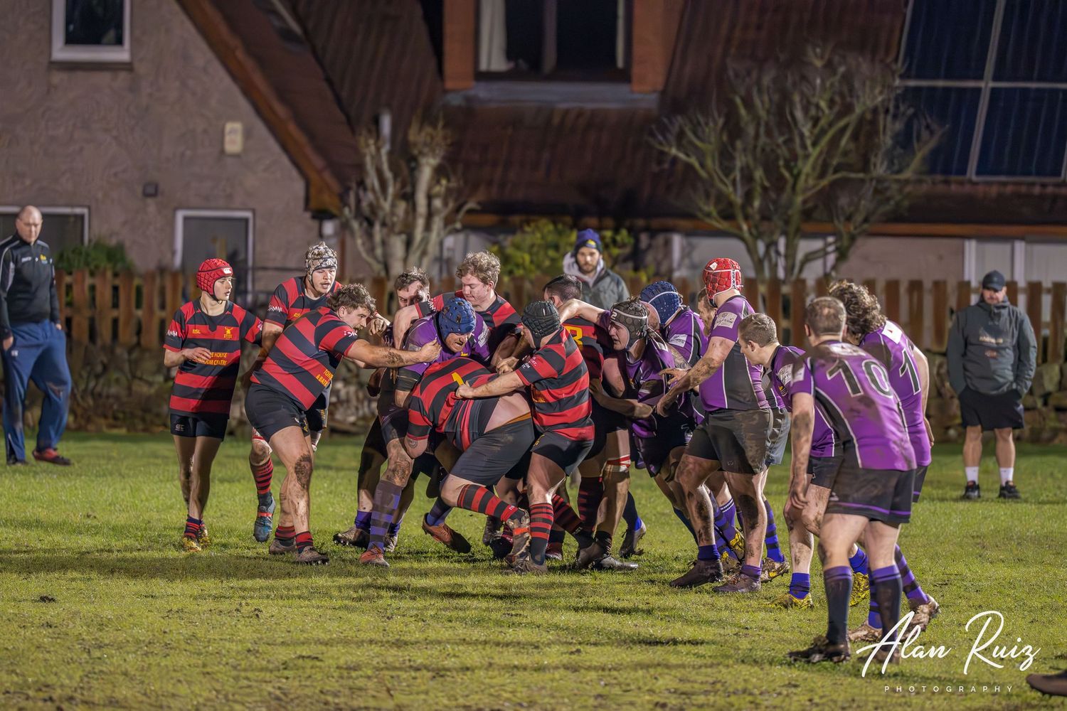 Rugby players from opposing teams in purple and red striped jerseys compete in an intense match on a grass field.