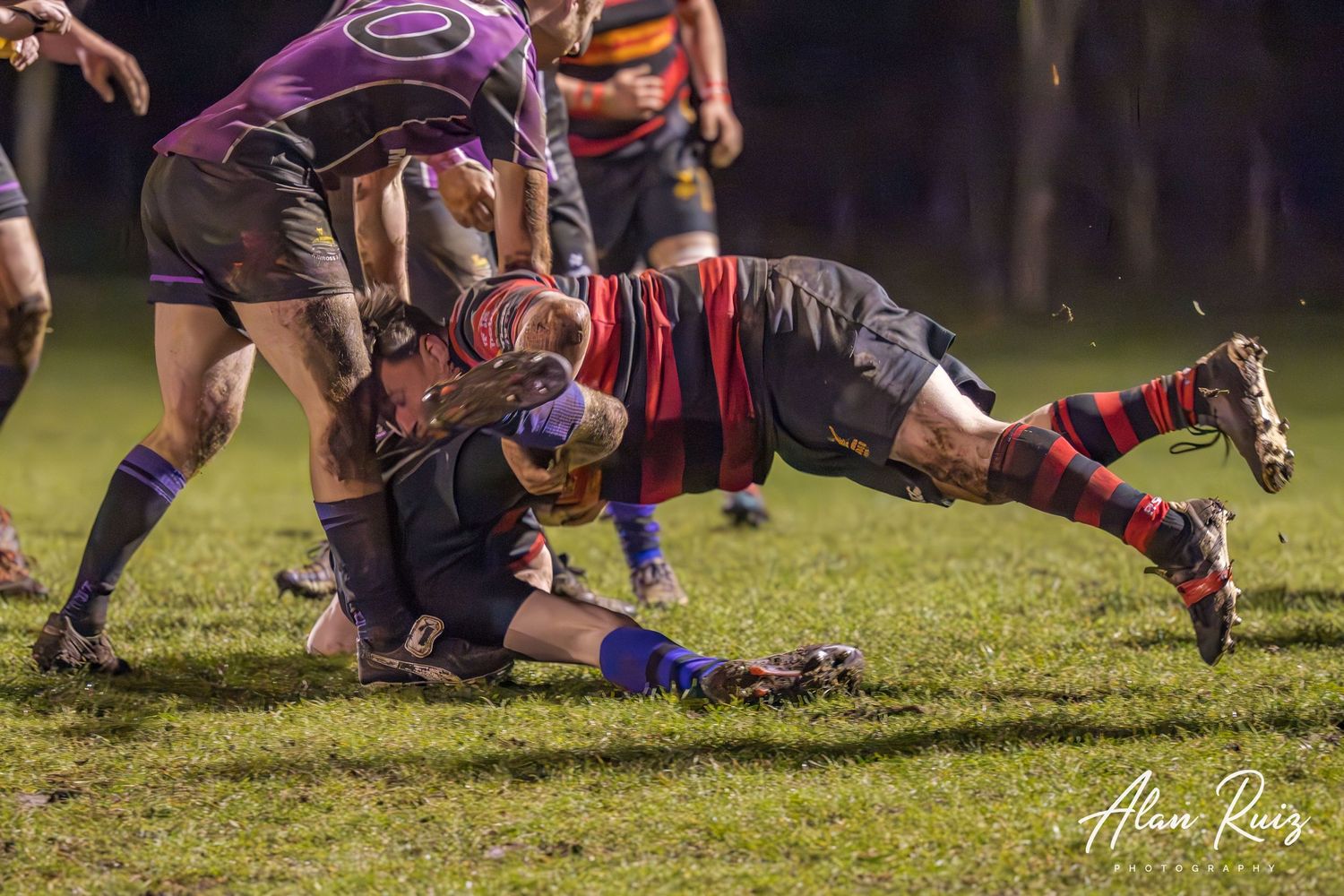 Rugby players dive and tackle during an intense ground play on the grass field.