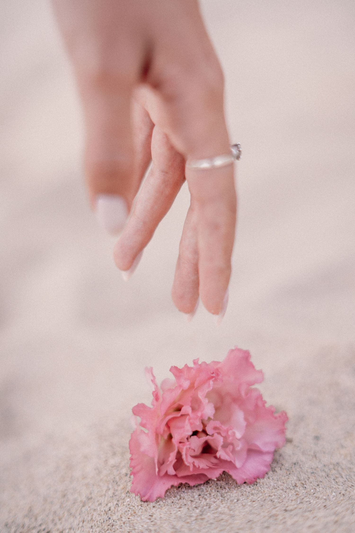 Hand wearing engagement ring hovering over pink carnation on light surface.