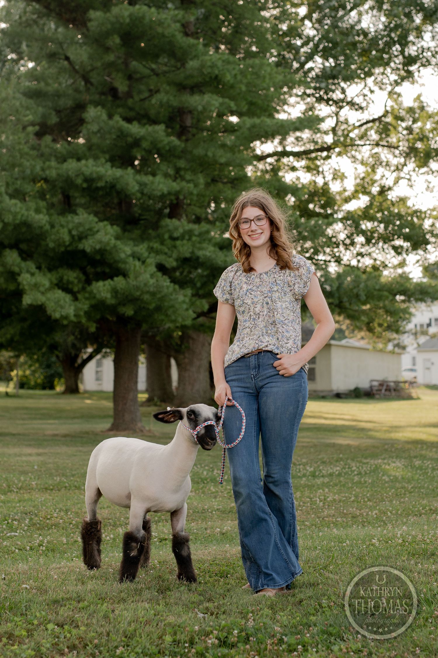 A young lamb with dark feet stands in a grassy field next to its handler with pine trees behind them.