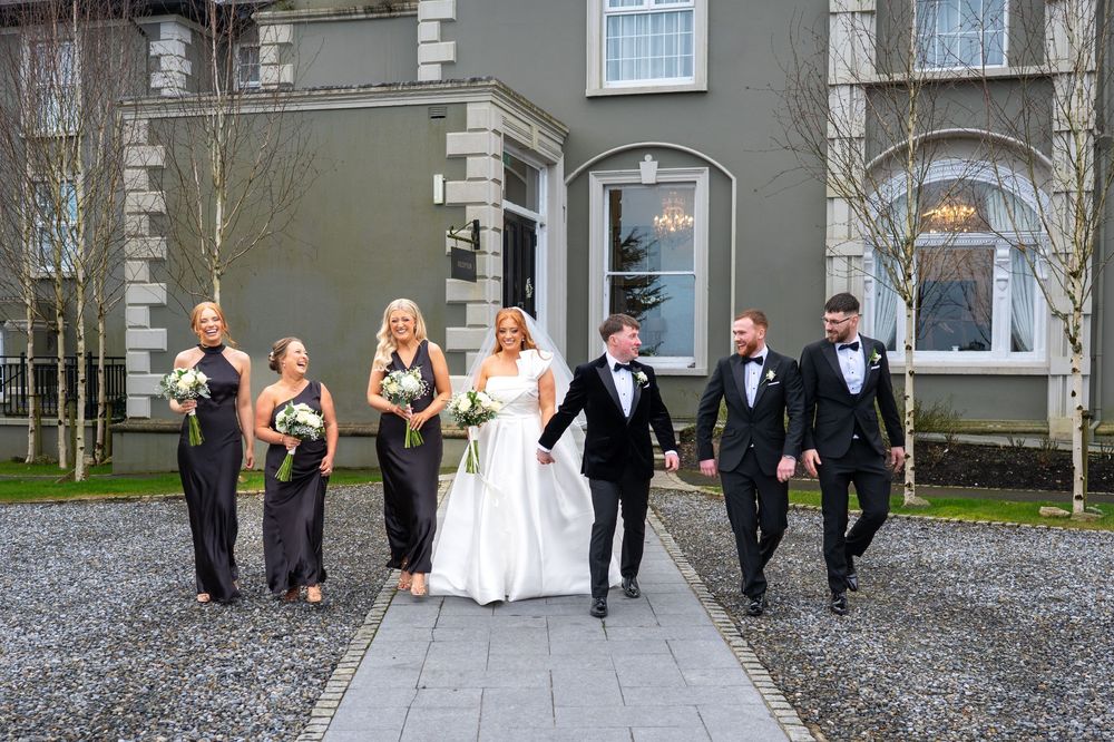 Bridall Party posing at Newbay House, County Wexford.