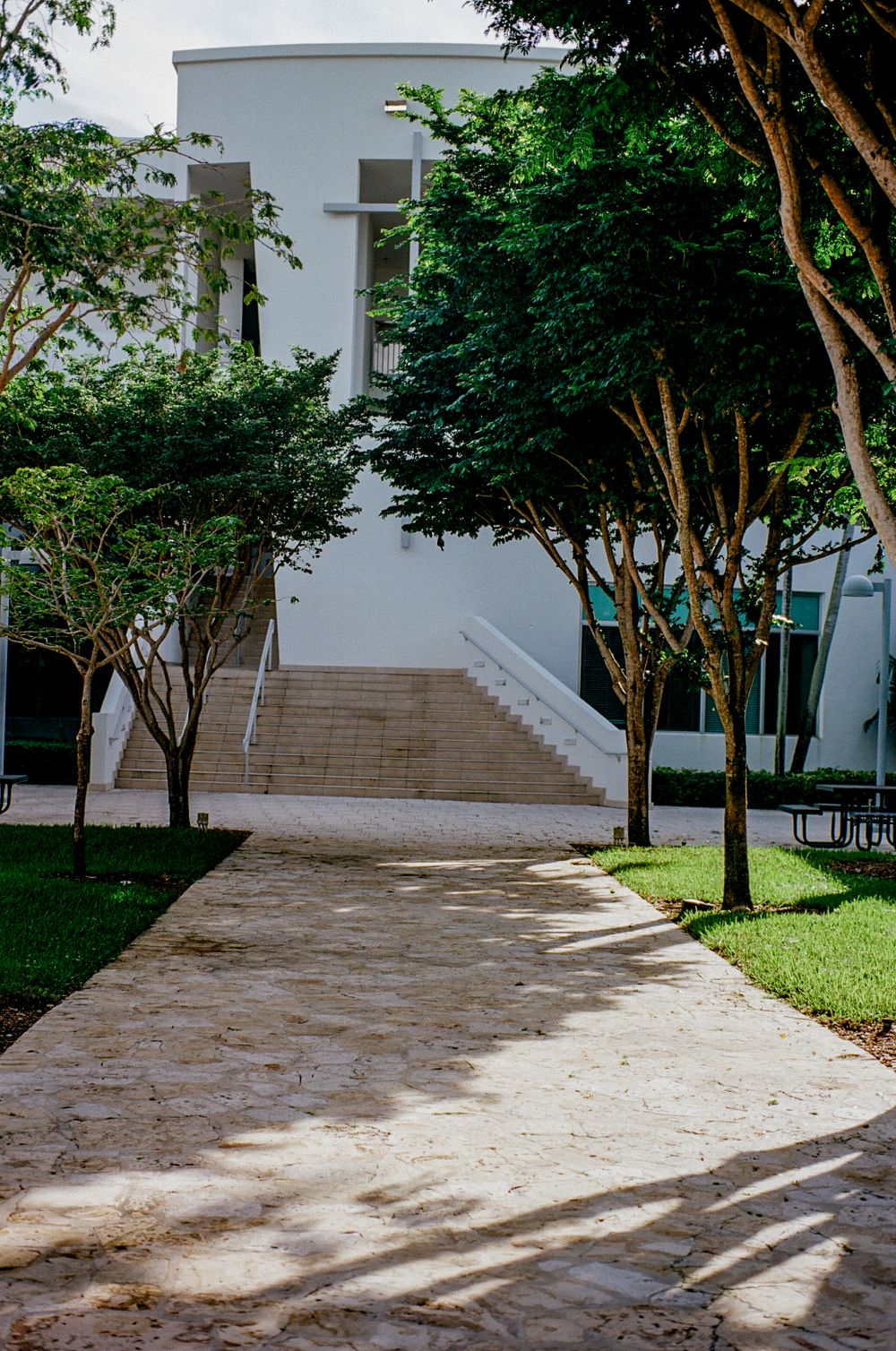 A white modern building with exterior stairs is surrounded by lush trees casting shadows on a concrete path.