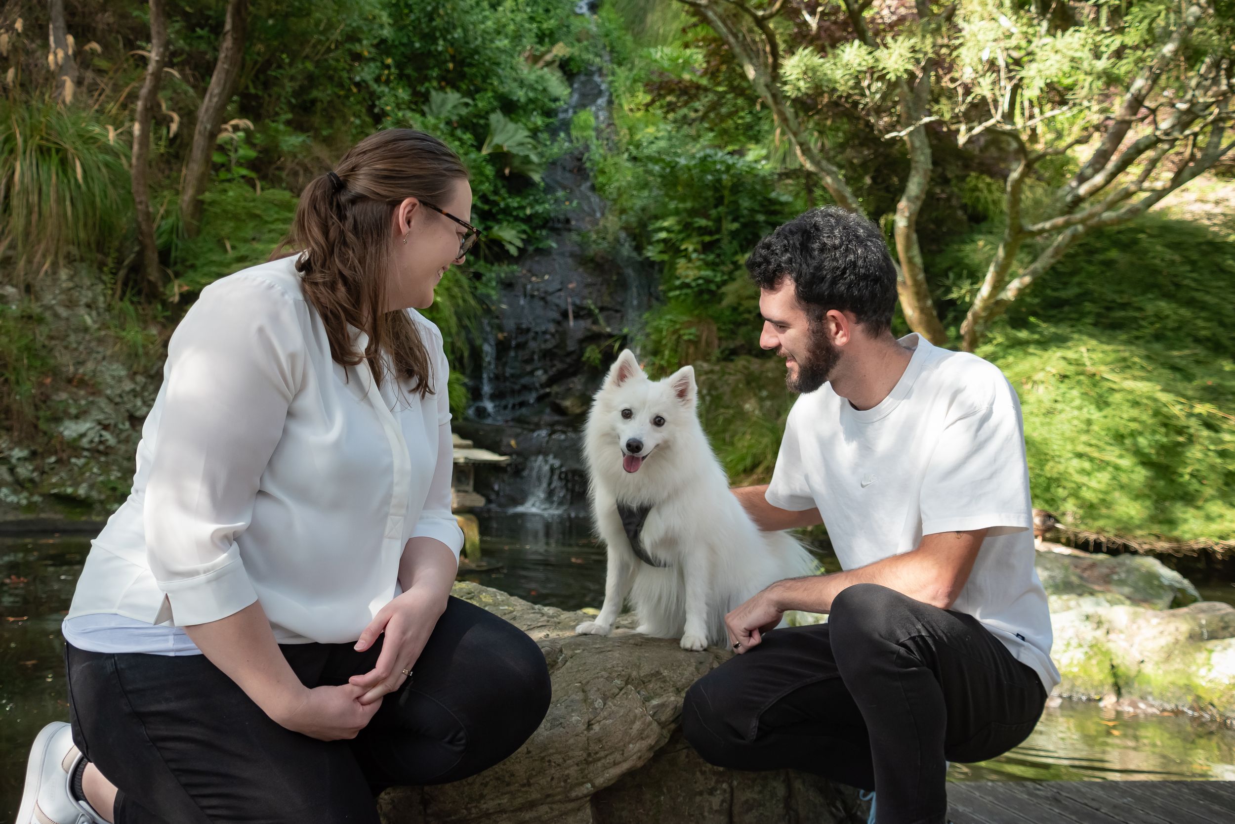 Pet Sessions