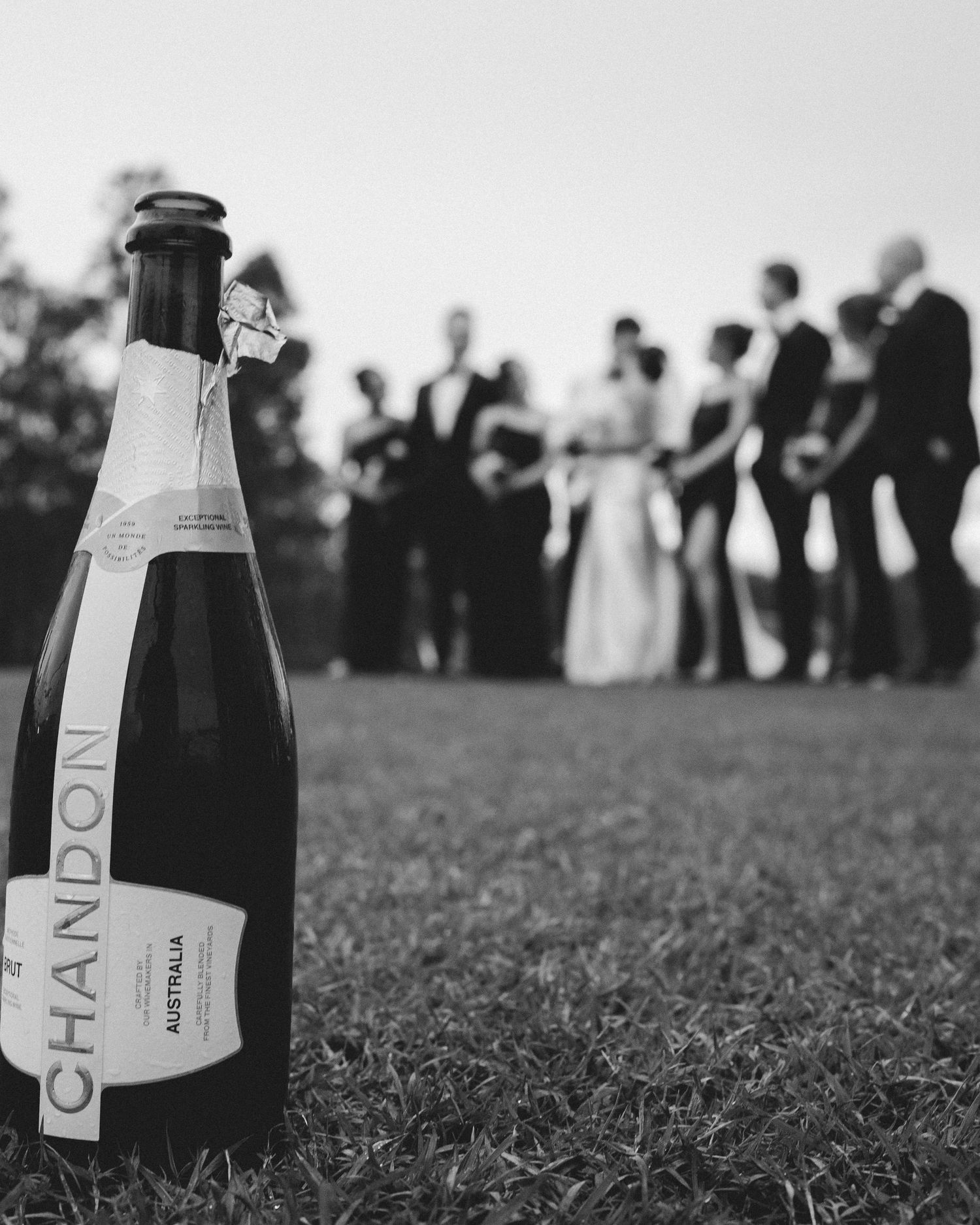 Champagne bottle in foreground with wedding guests silhouetted in background.
