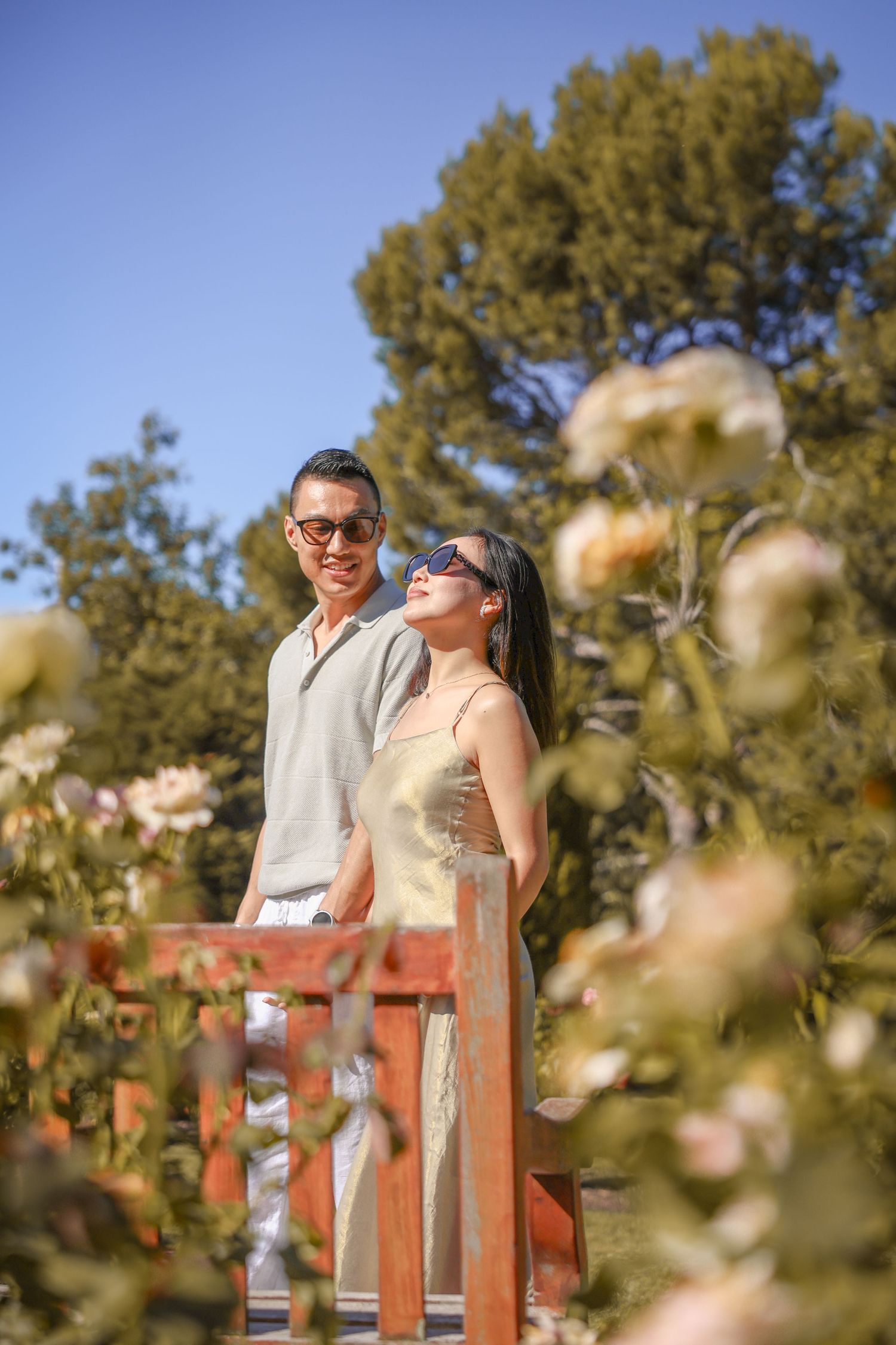 Couple enjoying sunshine together on wooden railing in a beautiful rose garden.