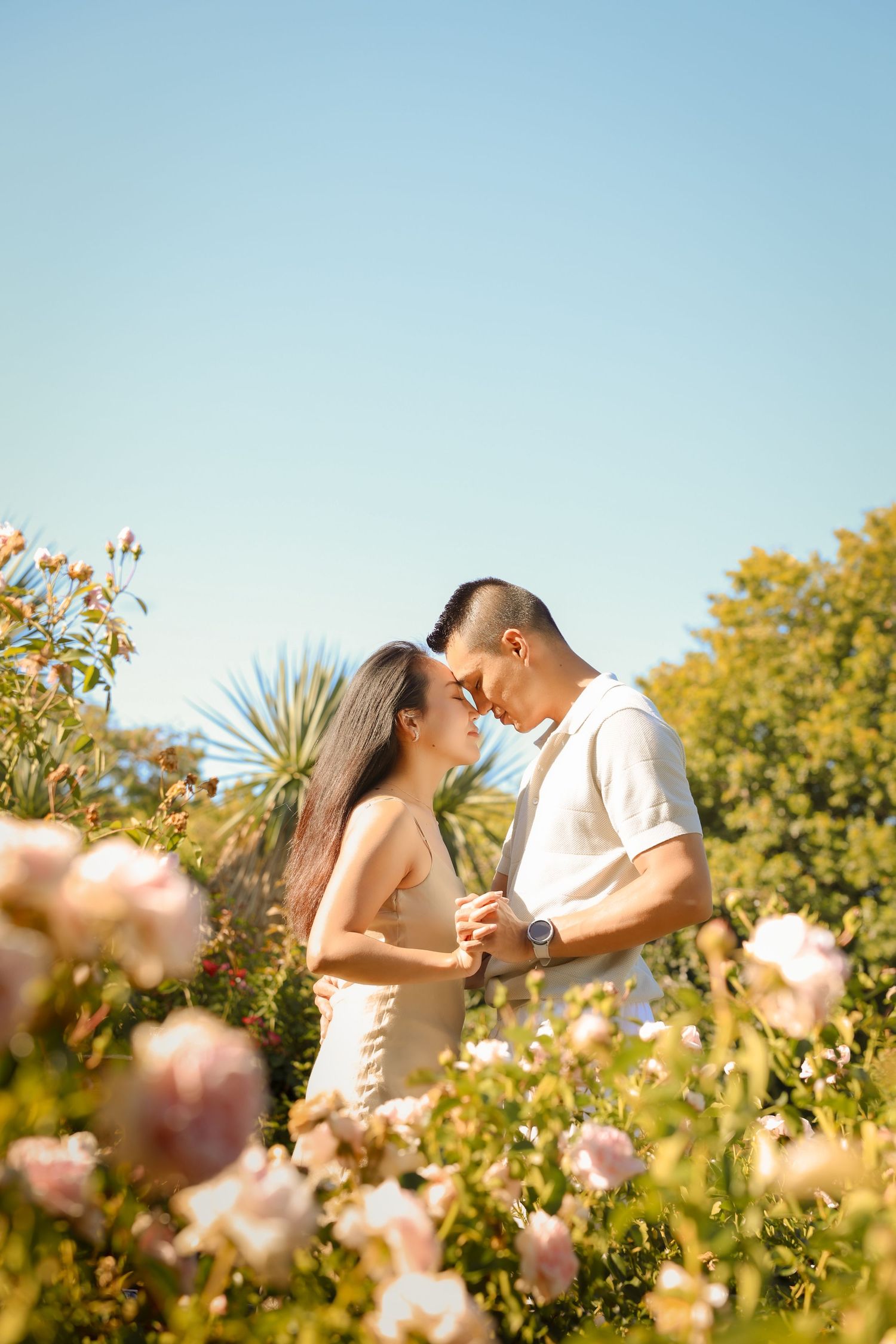 A romantic couple embraces in a sunlit garden surrounded by blooming pink roses and golden foliage.