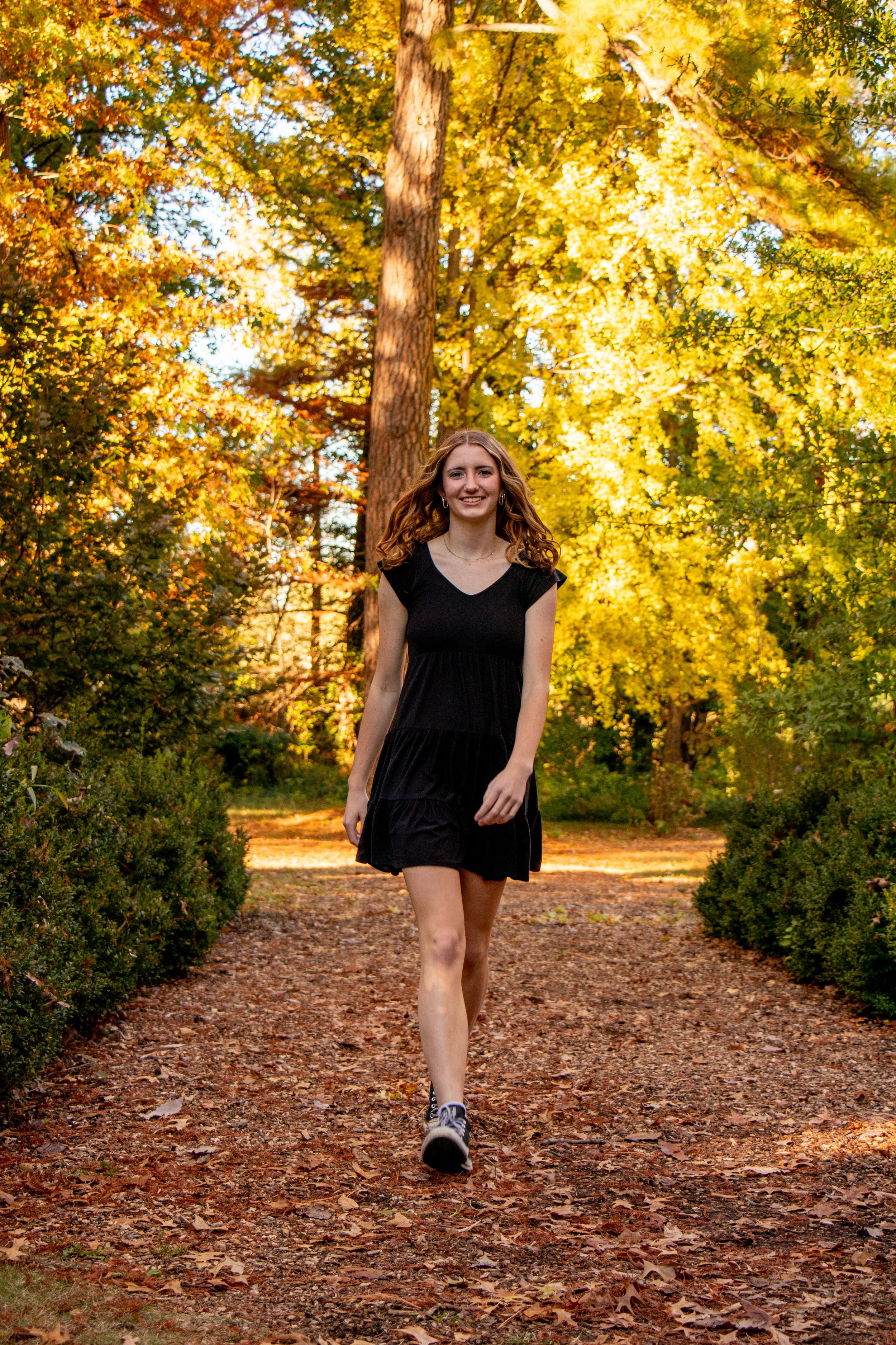 strut model walk