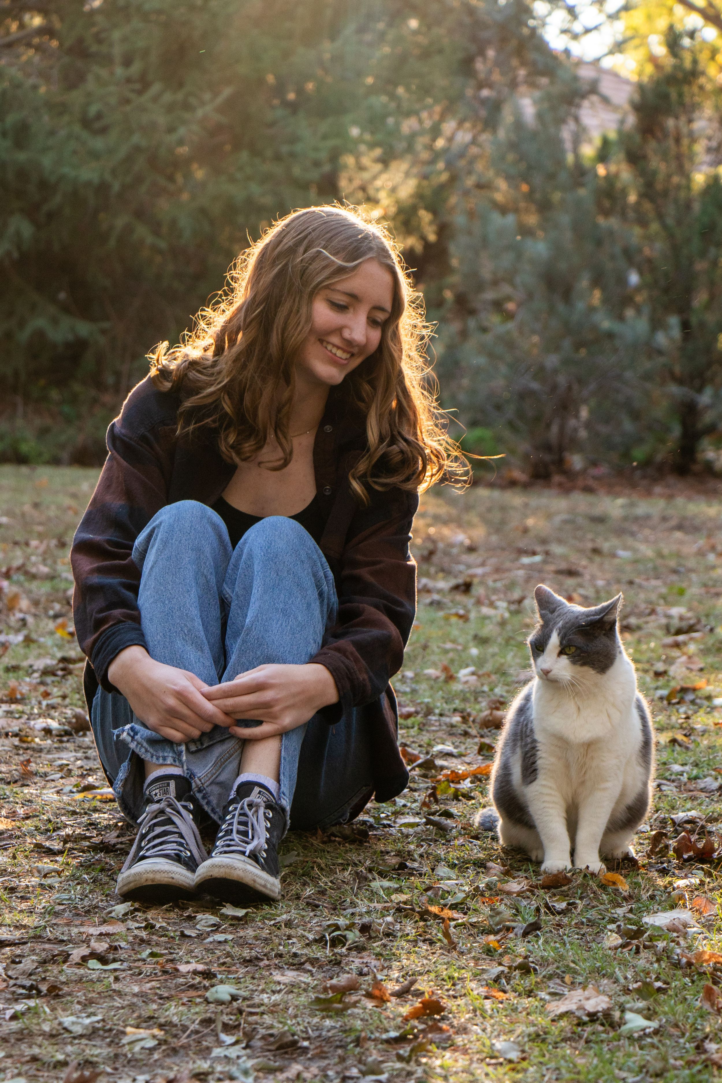 cat portrait animal photographer