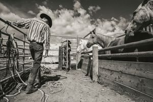 Cowboys loading horses in Wyoming photographed by Chris Douglas.