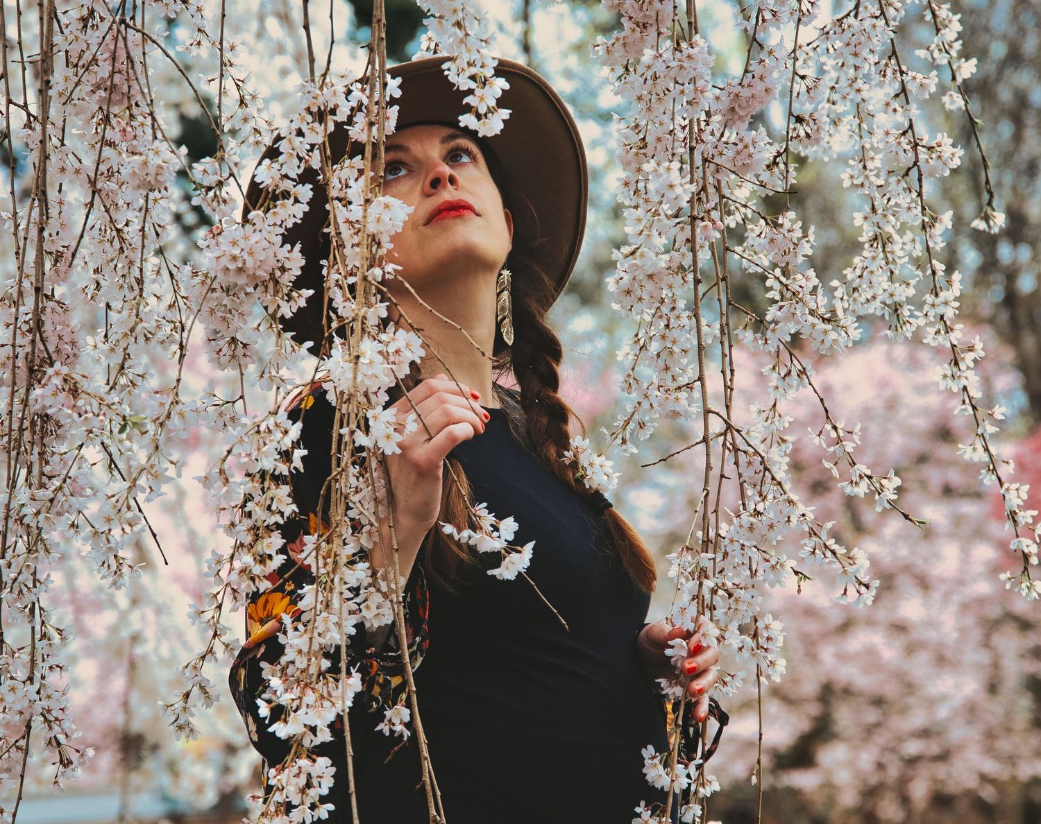 Person in black attire surrounded by delicate cherry blossoms in springtime.