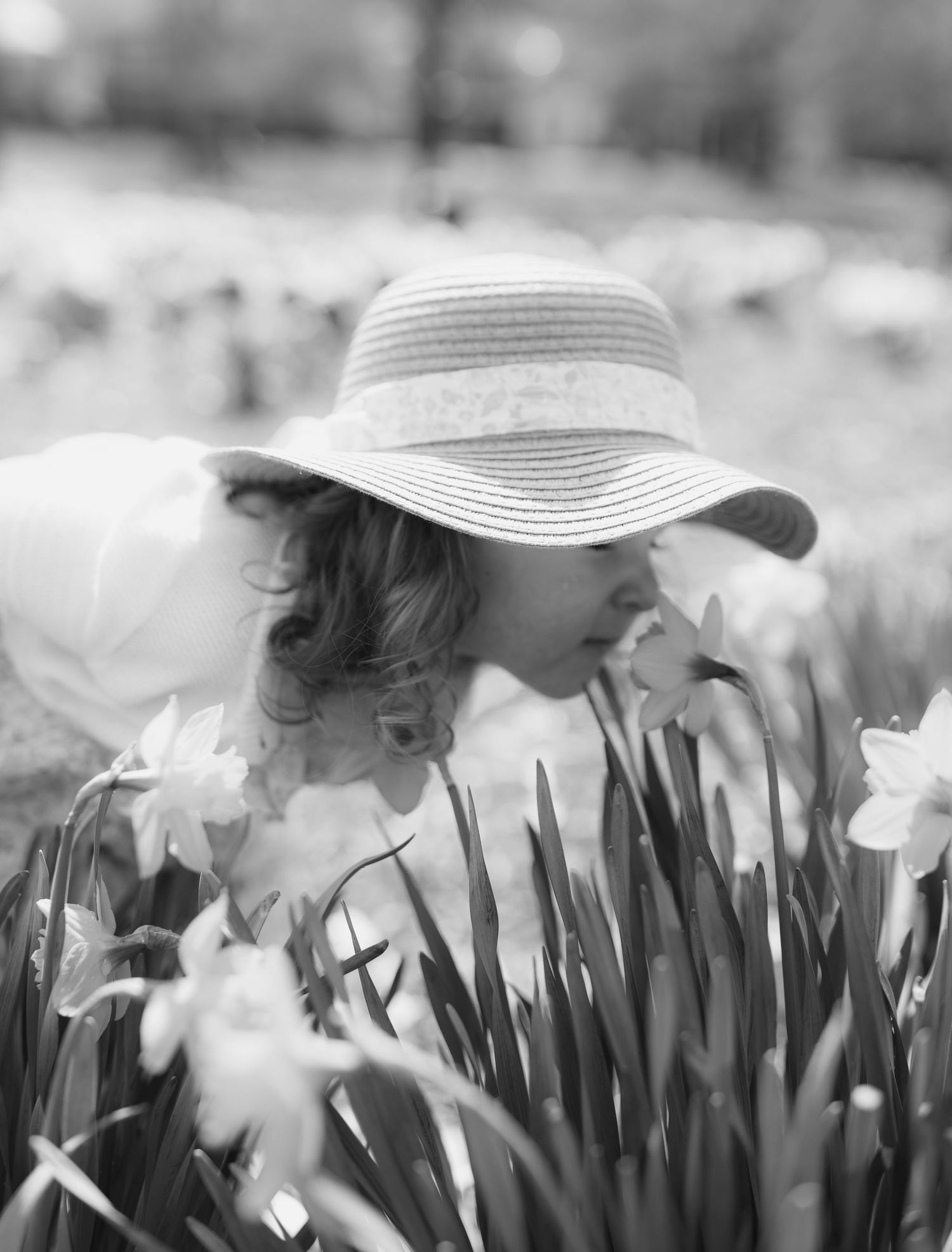 White daffodils in a garden with a sun hat visible among the spring blooms.