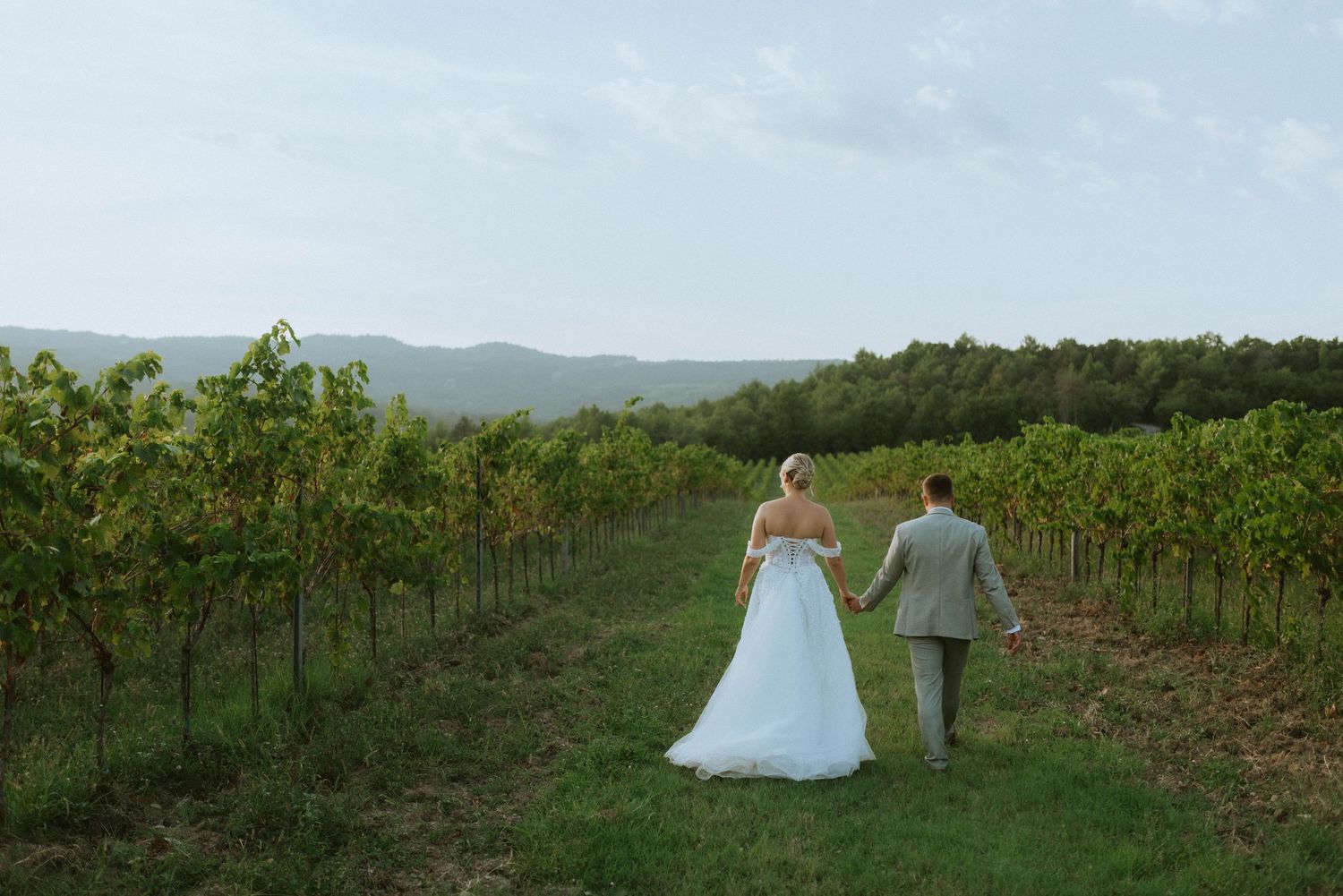Couple walking through vineyard rows with mountains in background.