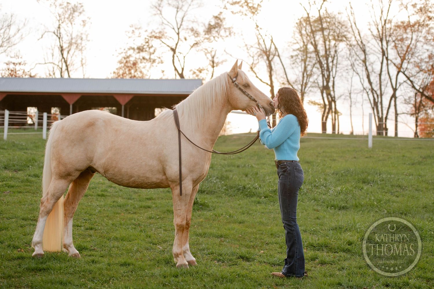 A palomino horse stands in a grassy field while being groomed against a backdrop of autumn trees.