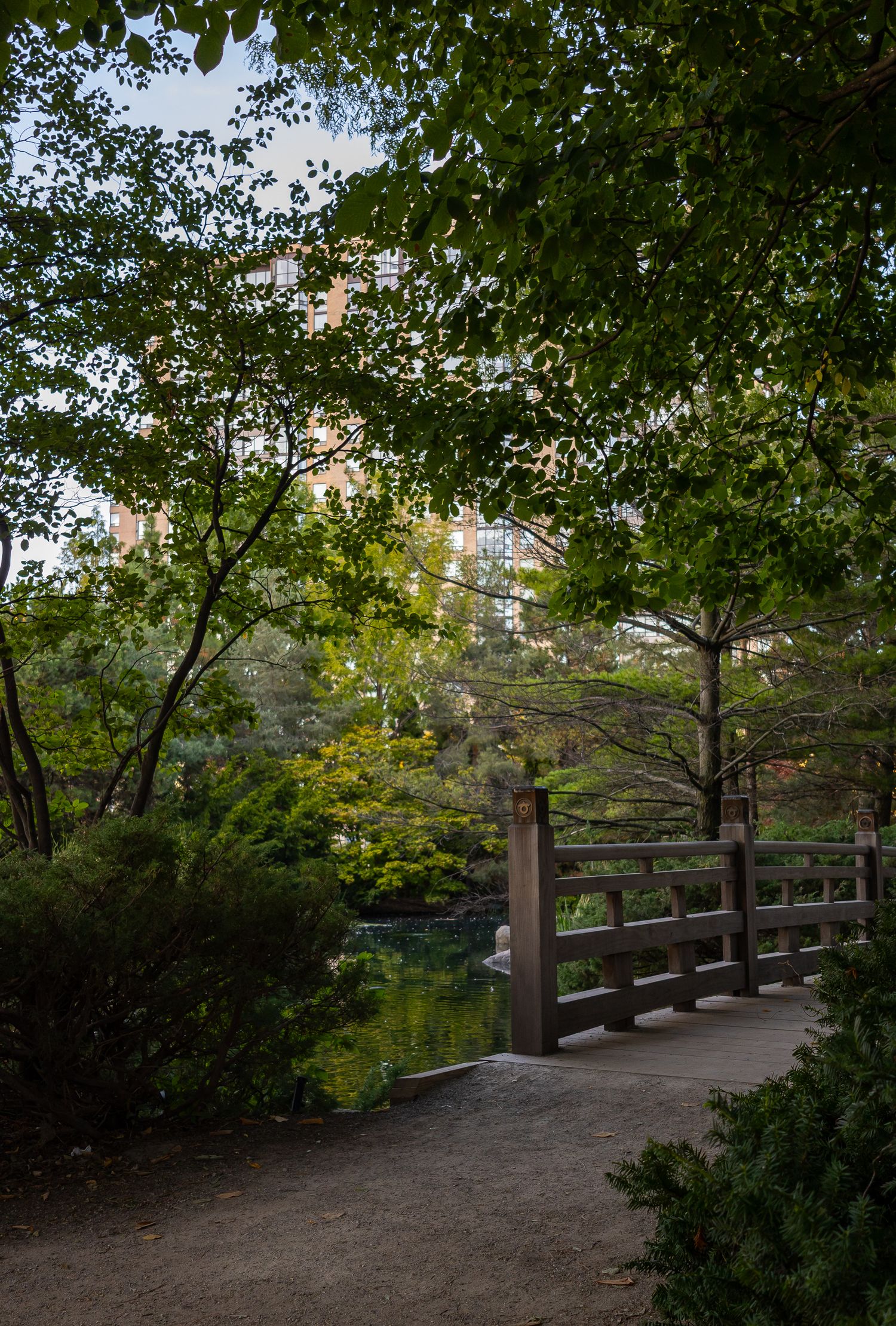 Trees and a bridge