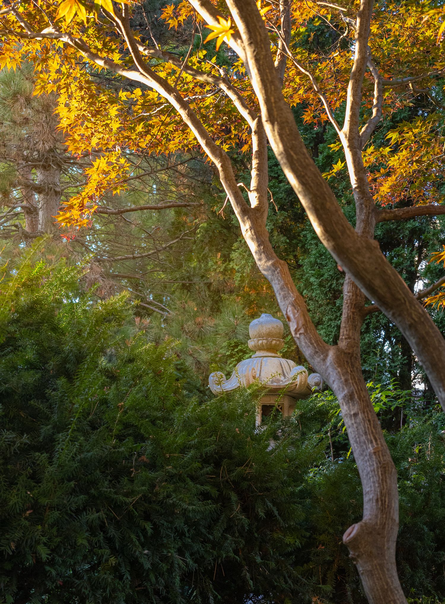 Japanese arcitecture surrounded by trees and sunlight