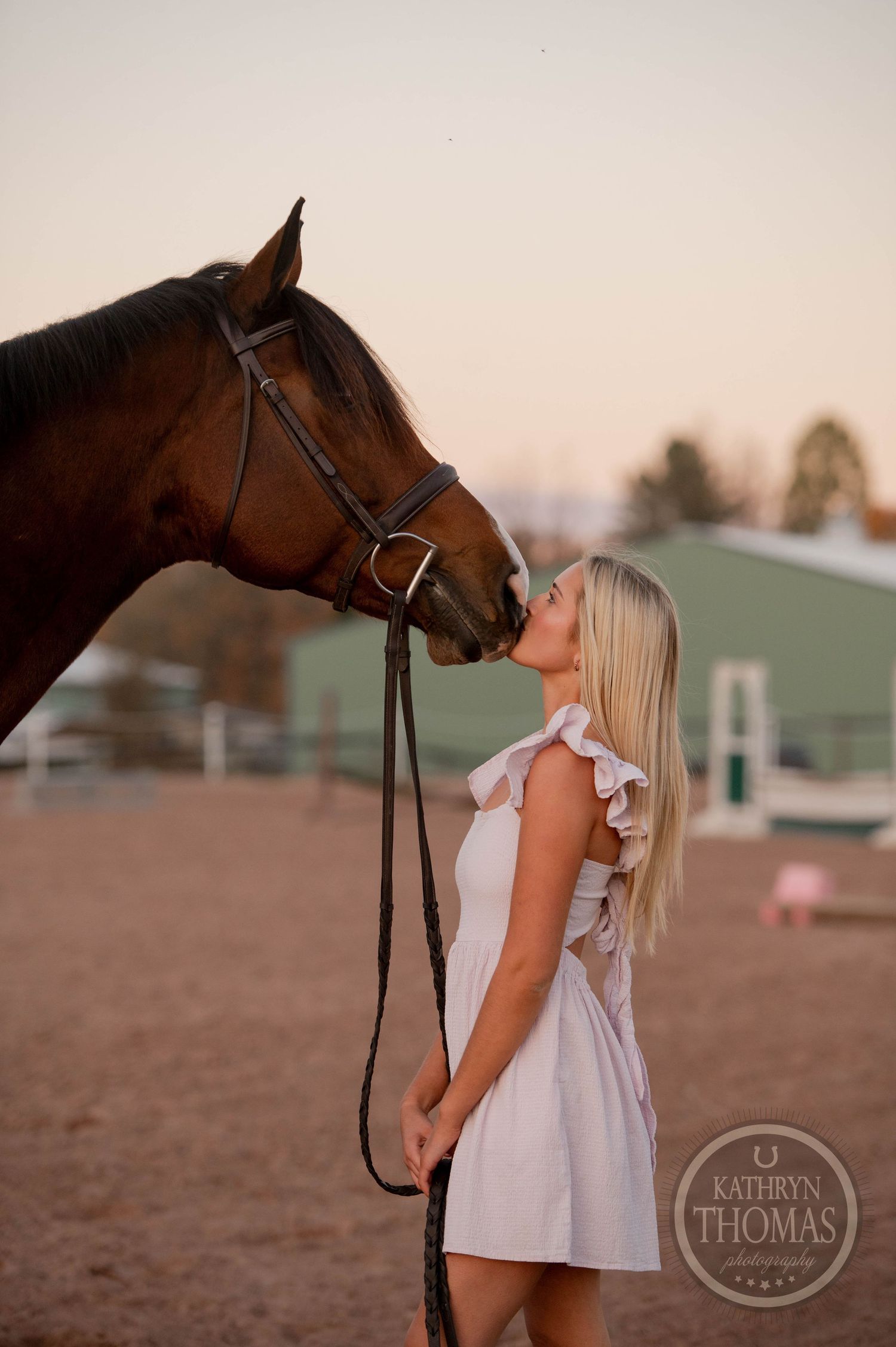 A sweet moment between a dark horse and someone in white captured during golden hour.