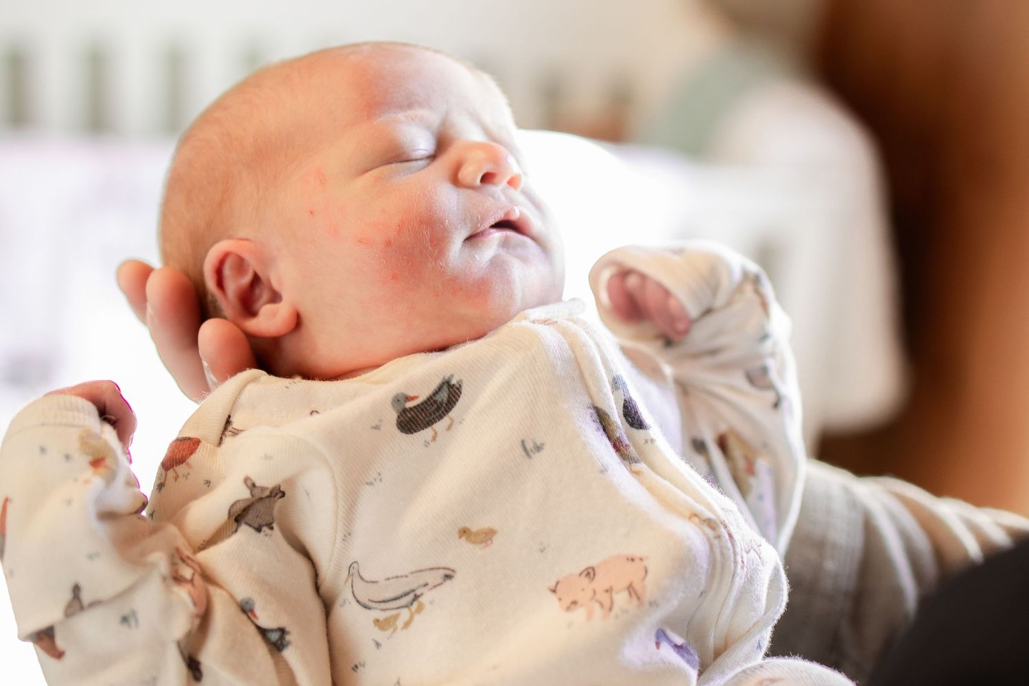 Springfield, IL Newborn Photographer captures baby sleeping in dad's hands during a lifestyle newborn session