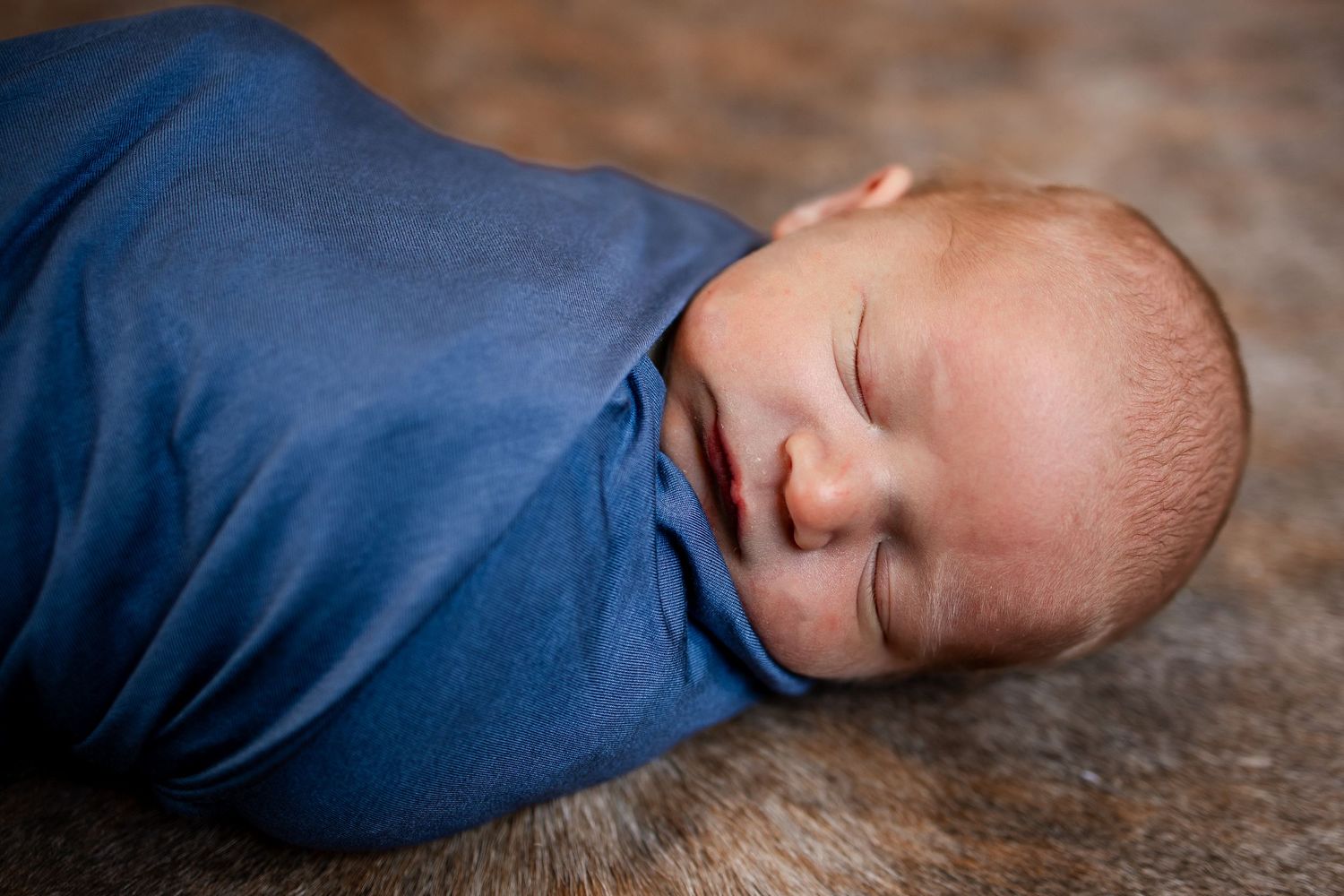 Springfield Il Newborn Photographer captures a close up of a newborn's face while being swaddled  during a lifestyle newborn session