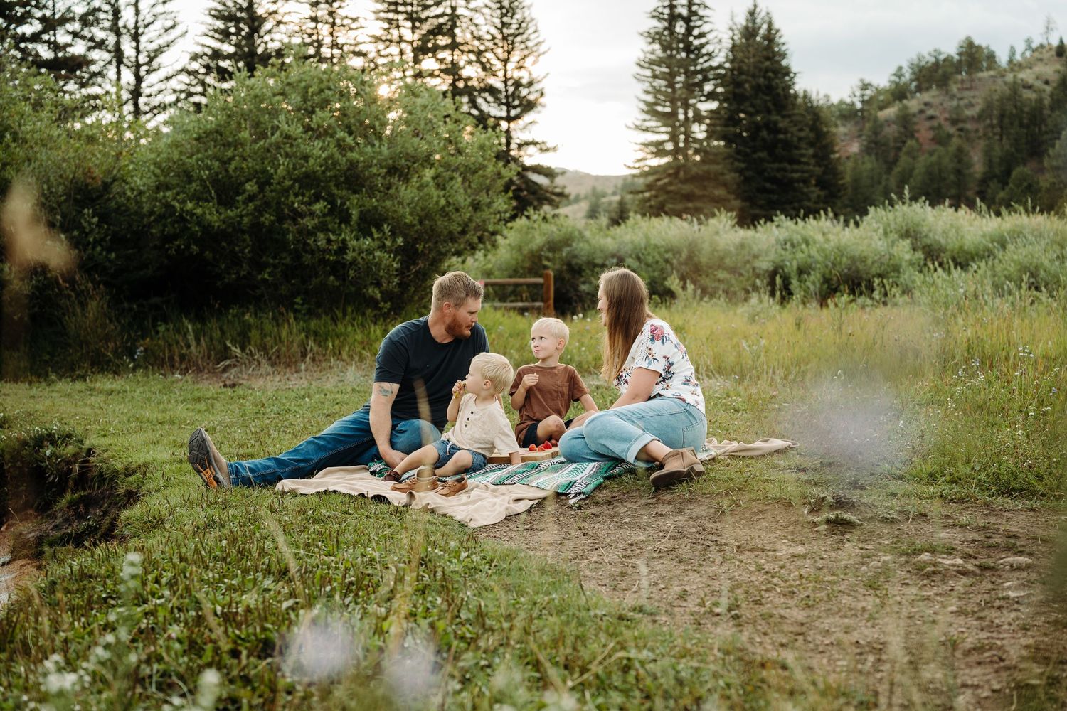 Family of four enjoying a picnic on a blanket in a lush green meadow surrounded by tall pine trees during a storytelling photography session