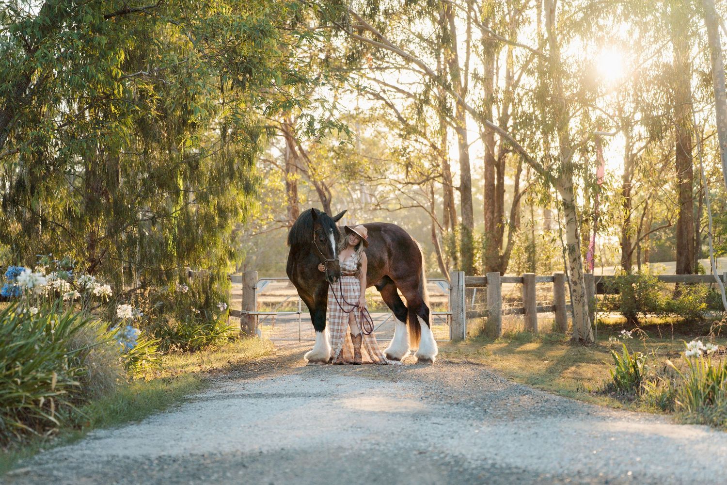 Woman in dress standing with a dark brown horse on a sunlit gravel path surrounded by lush green trees in sydney horse photoshoot rental