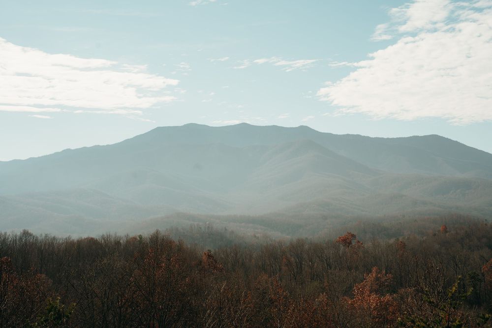Hazy Smoky Mountains vista with layered ridges and sparse autumn trees under blue sky.
