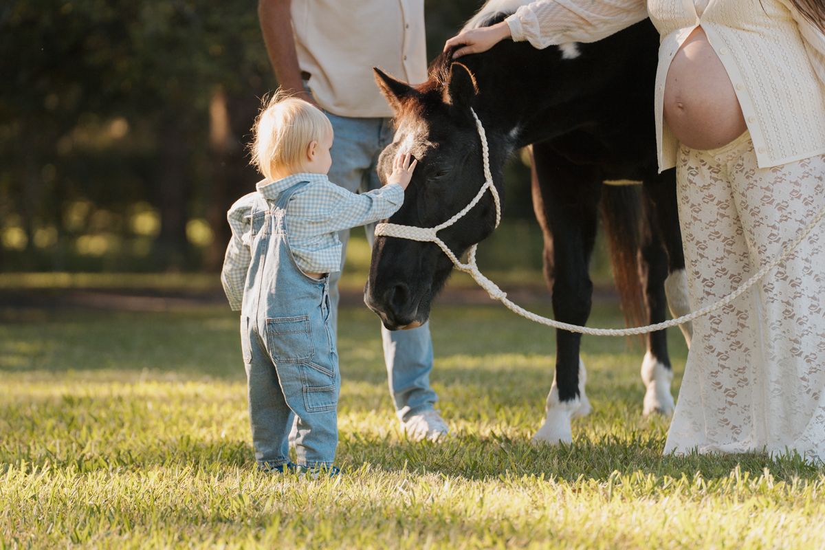 Toddler in denim overalls gently petting a baby foal beside a white horse on a sunny green lawn during a maternity photoshoot in rouse hill