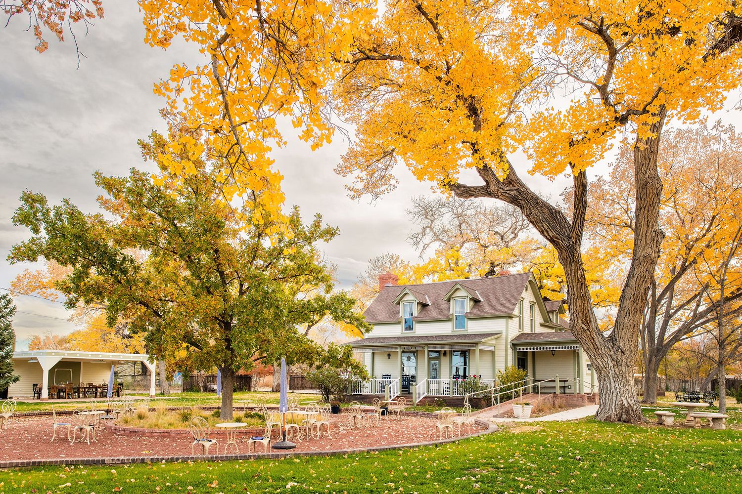 Charming historic house surrounded by vibrant golden autumn trees on a lush green lawn at the Heritage House in Corrales, New Mexico.