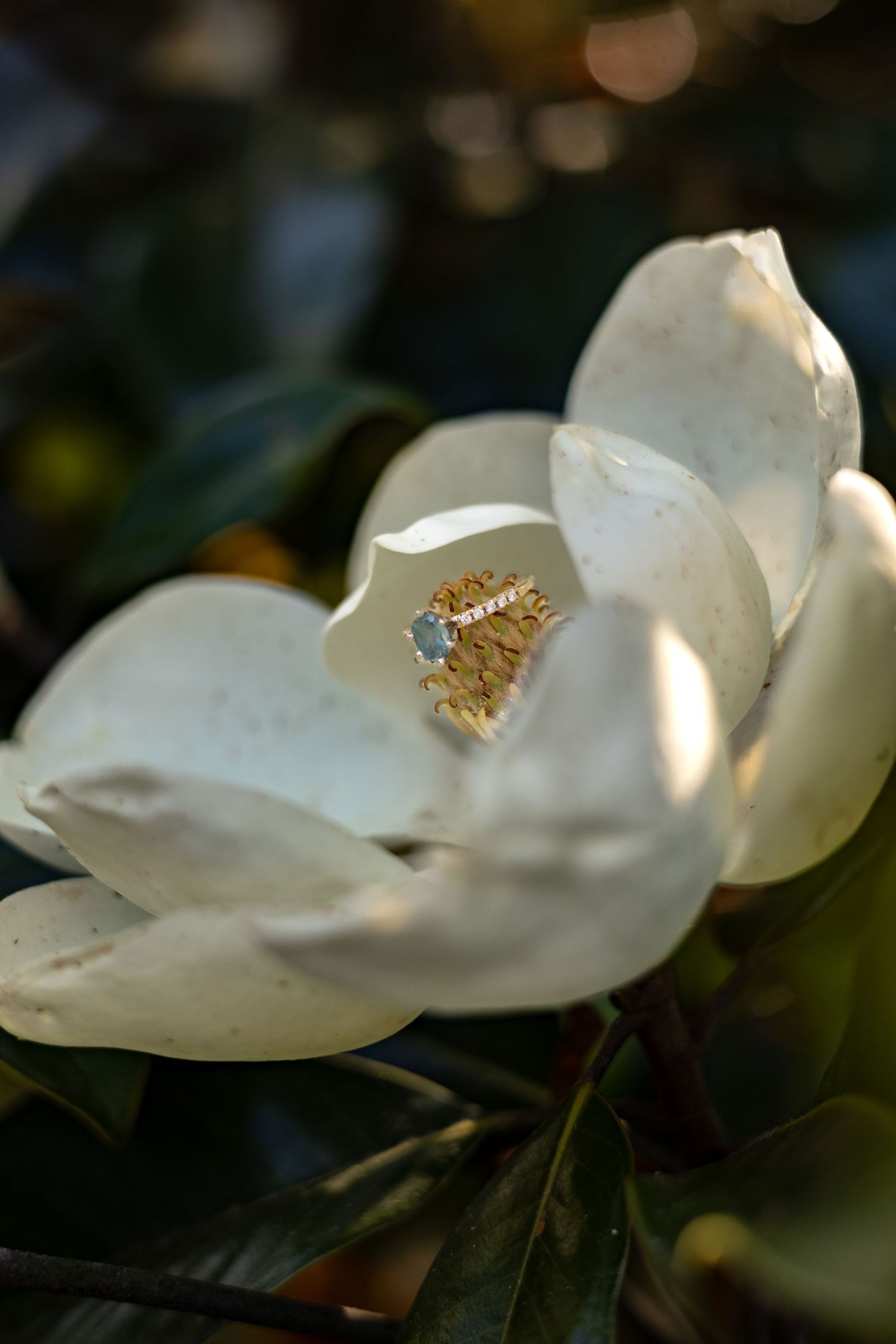Gold wedding rings rest in a wooden box surrounded by delicate white flowers and soft natural light. West Michigan.