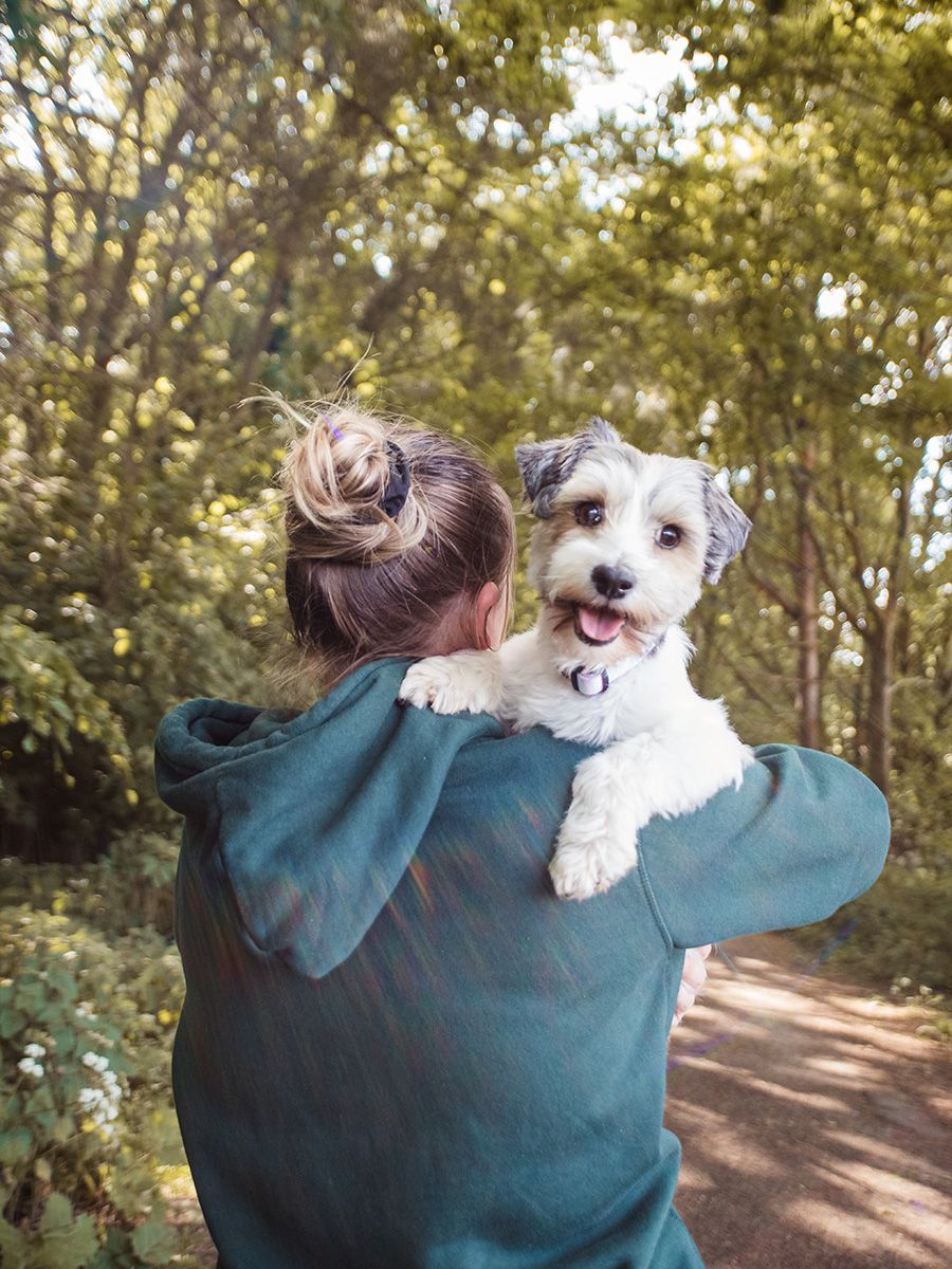 A spunky Jack Russell Terrier with her mom looking at the camera with a sweet pose in a scenic Suffolk field.