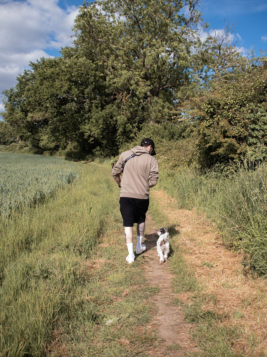A dog dad and his white Jack Russell Terrier walking together in a sun-drenched Ipswich field.