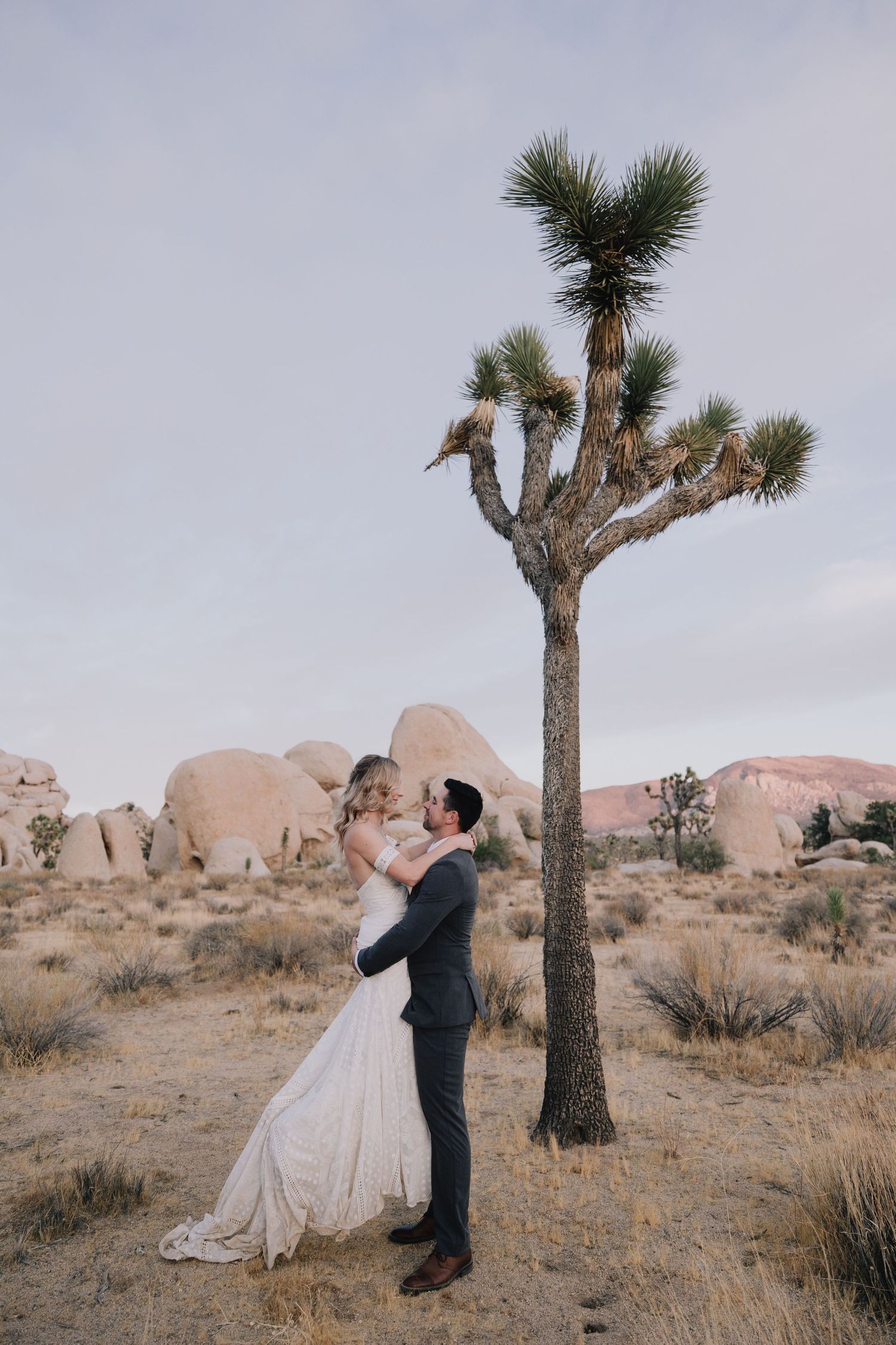 Bride and groom embrace romantically beneath a Joshua Tree with rocky boulders at sunset.