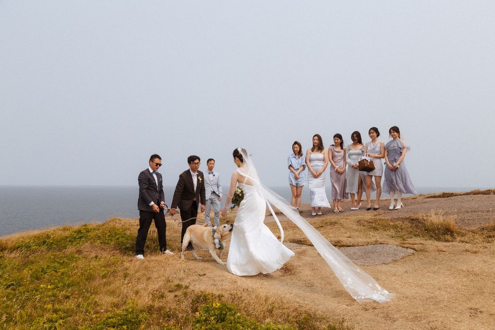 Elopement at Torbay Point captured by Newfoundland documentary style wedding photographer Kaitlyn yvette