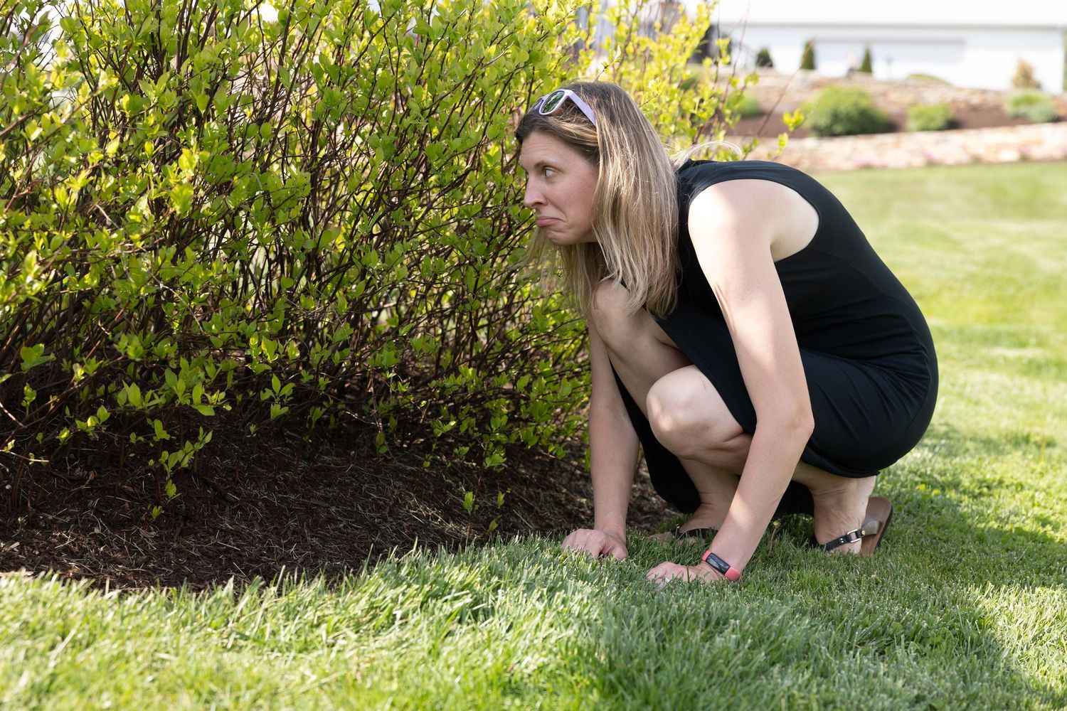 Person in black dress crouches down to search through grass and bushes in a sunny outdoor setting.