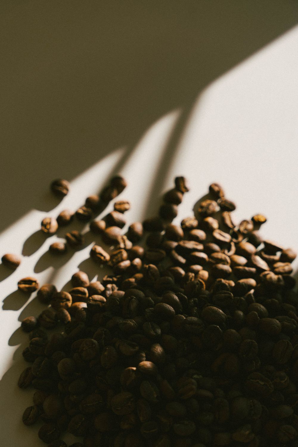 Grains de café torréfiés éparpillés sur une surface blanche avec des ombres spectaculaires créant une composition artistique incroyable