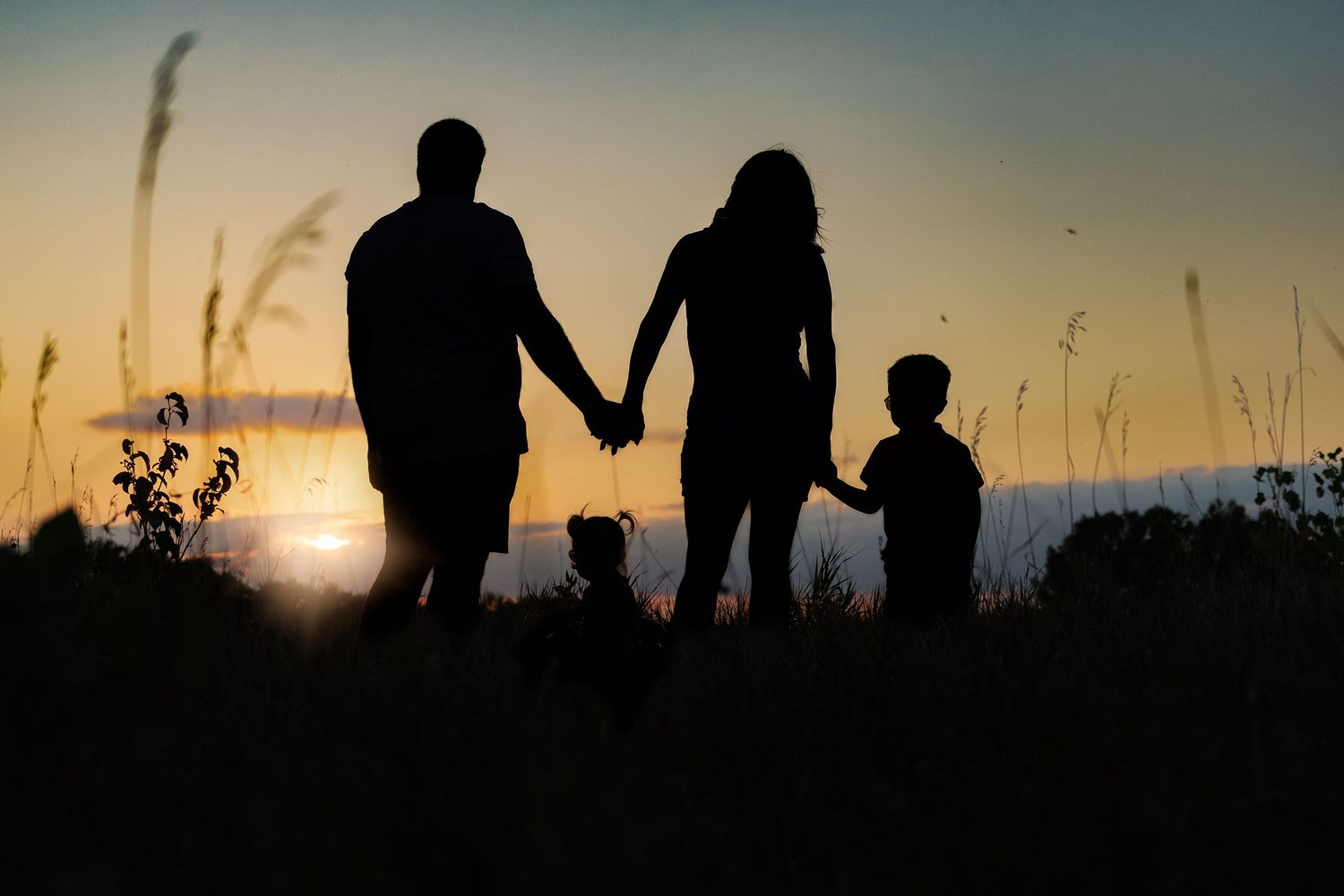 Silhouettes of people holding hands while walking together against a sunset sky with tall grass in the foreground.