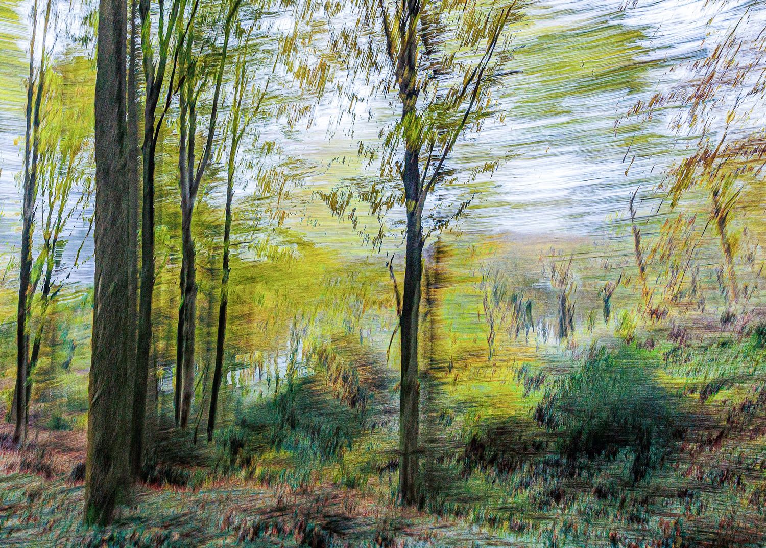 #ICM #Pictorialisme #ExpositionsMultiples #MotionBlur