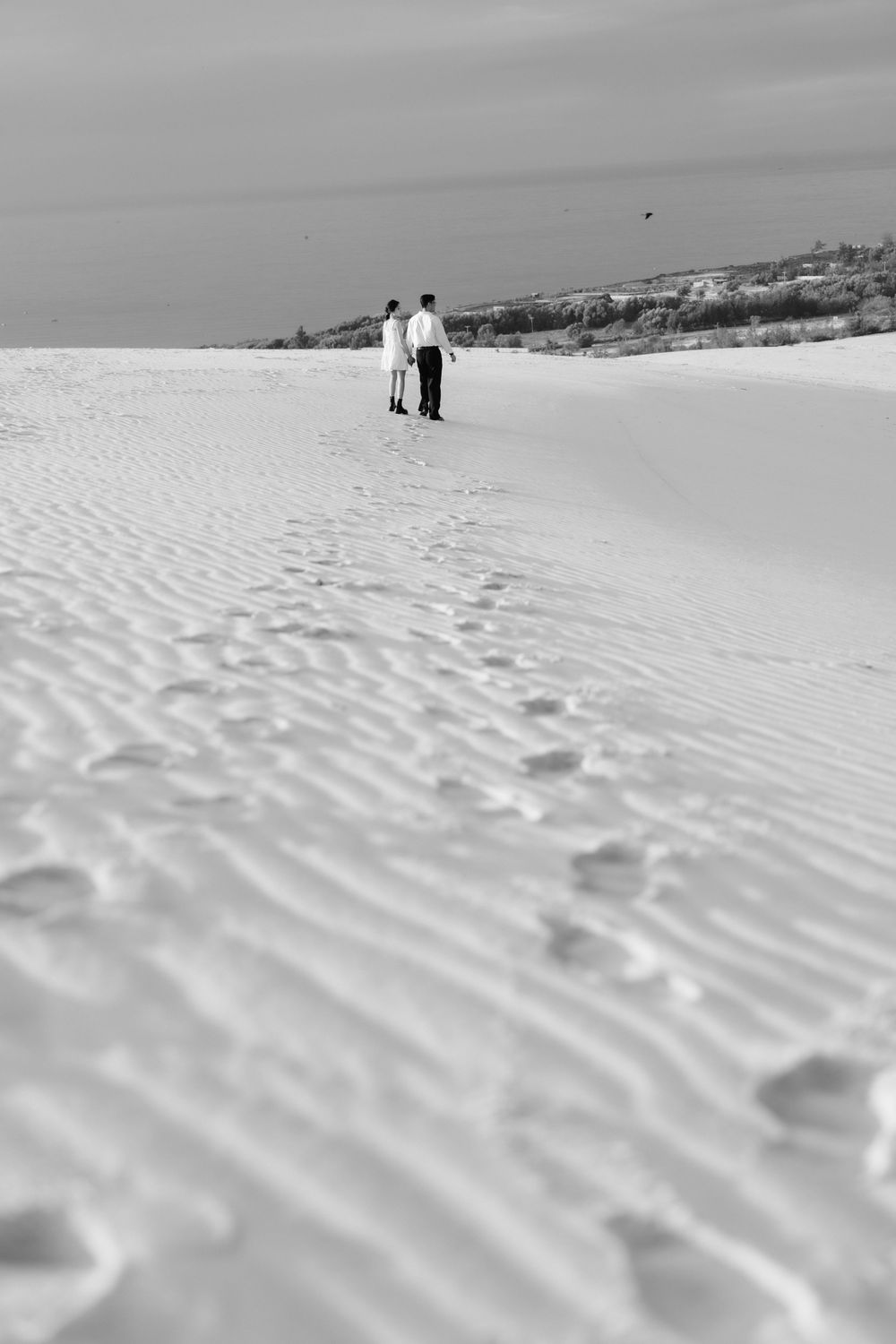 Black and white photo of a couple walking hand in hand across vast rippled sand dunes.