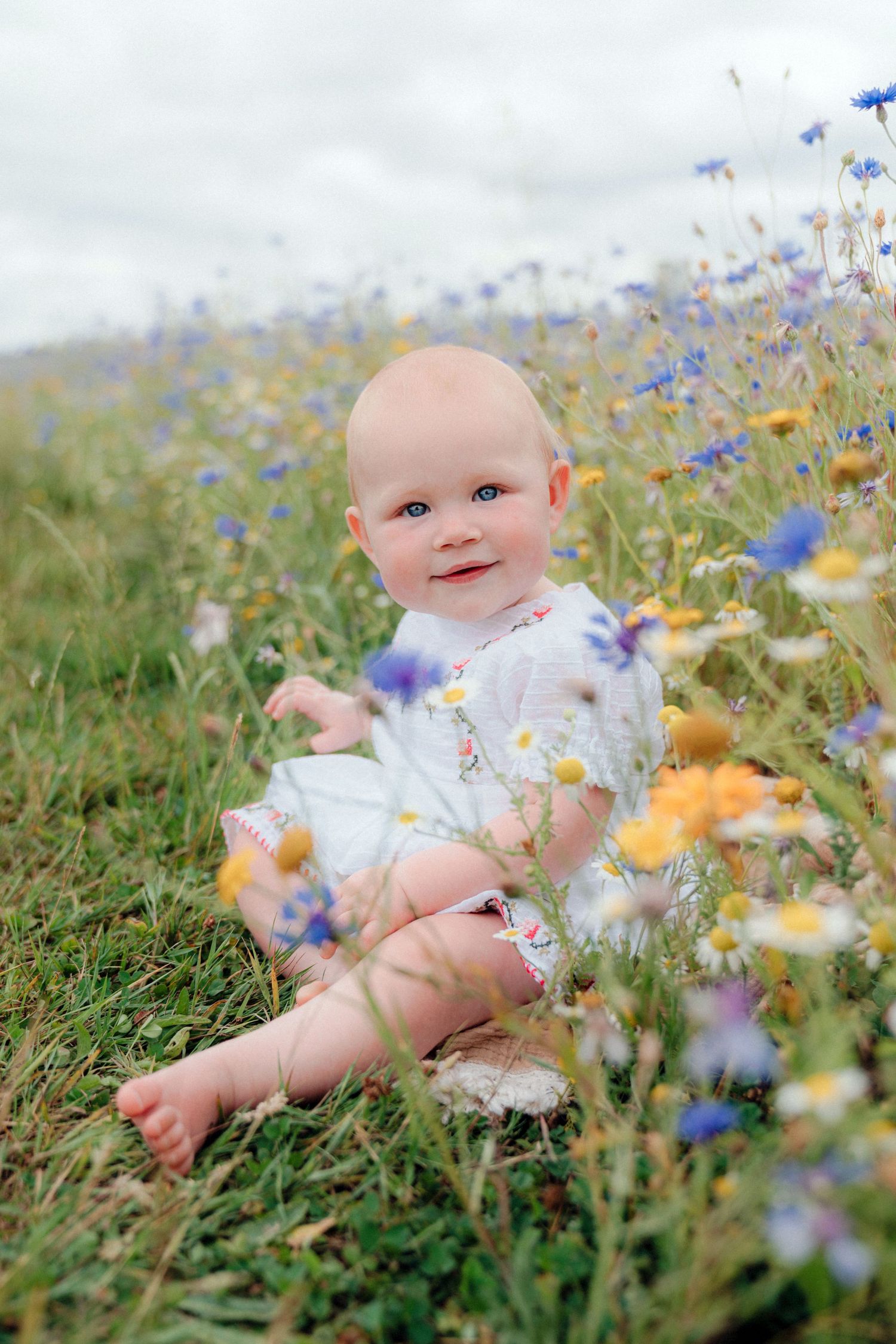 Adorable baby girl sitting in a wildflower meadow with blue and yellow flowers, wearing a white dress.