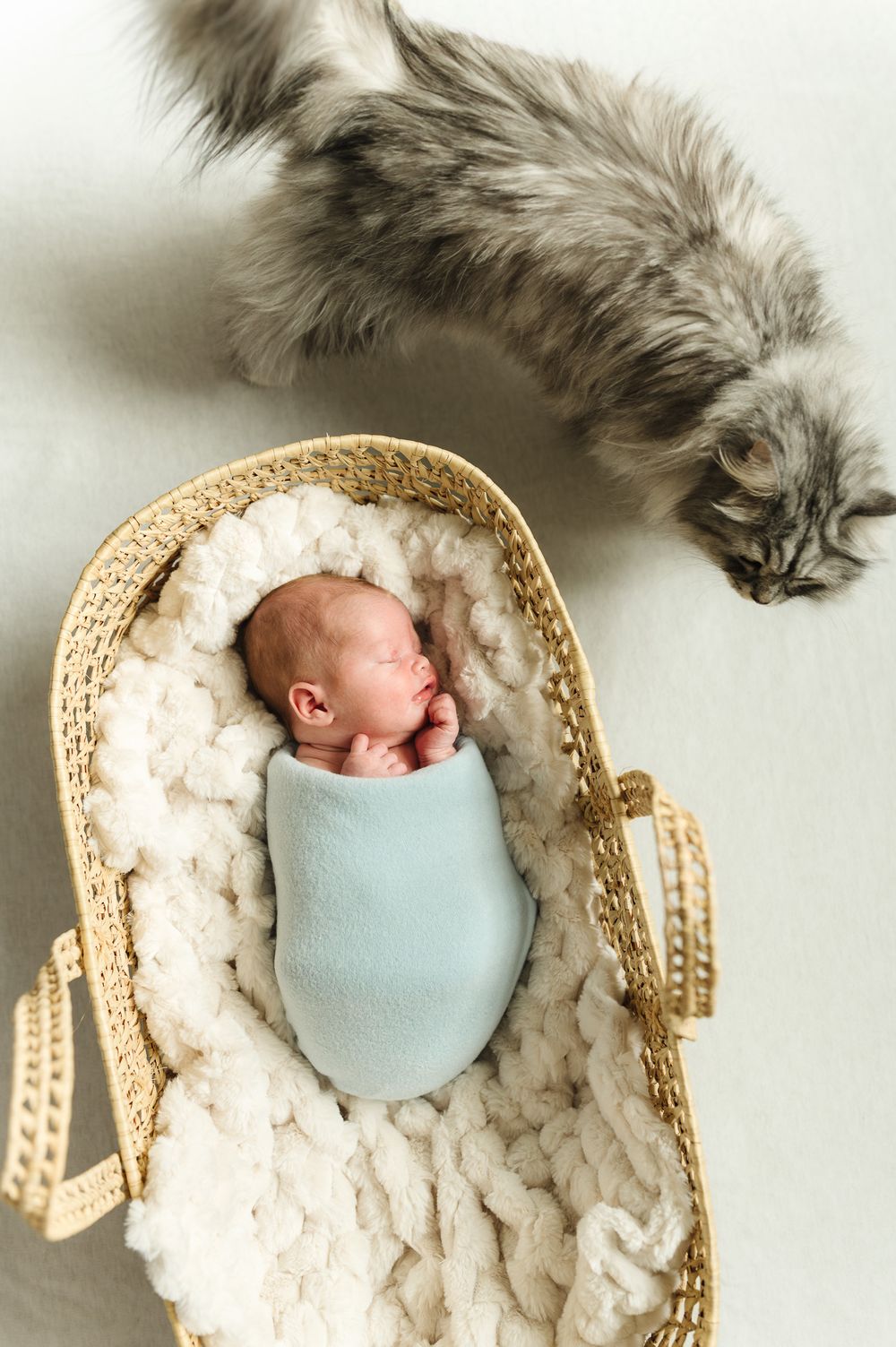 A series of four progressive photos showing a newborn sleeping in a woven basket surrounded by soft white padding.